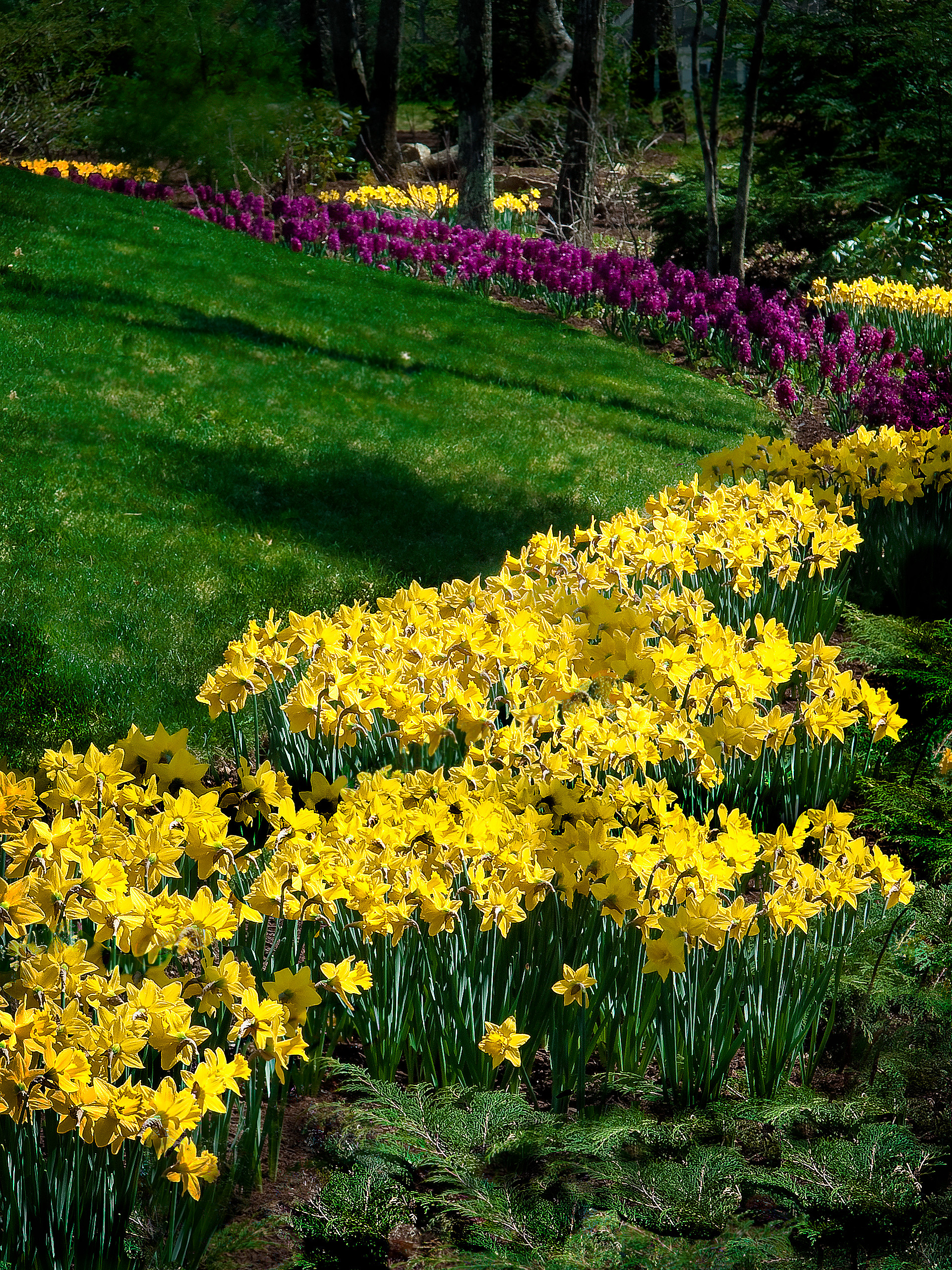 Как правильно: Сделать объемный цветник