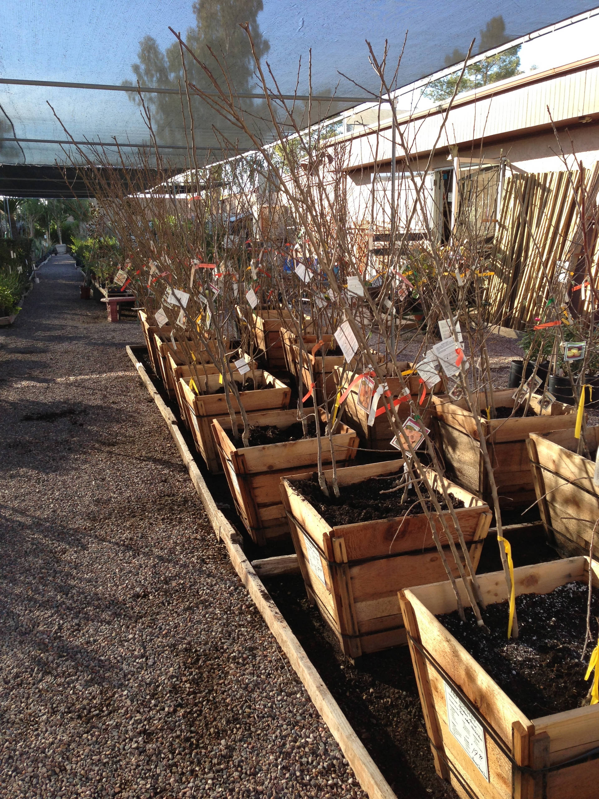 Хороший вопрос: Как создать жизнестойкий сад