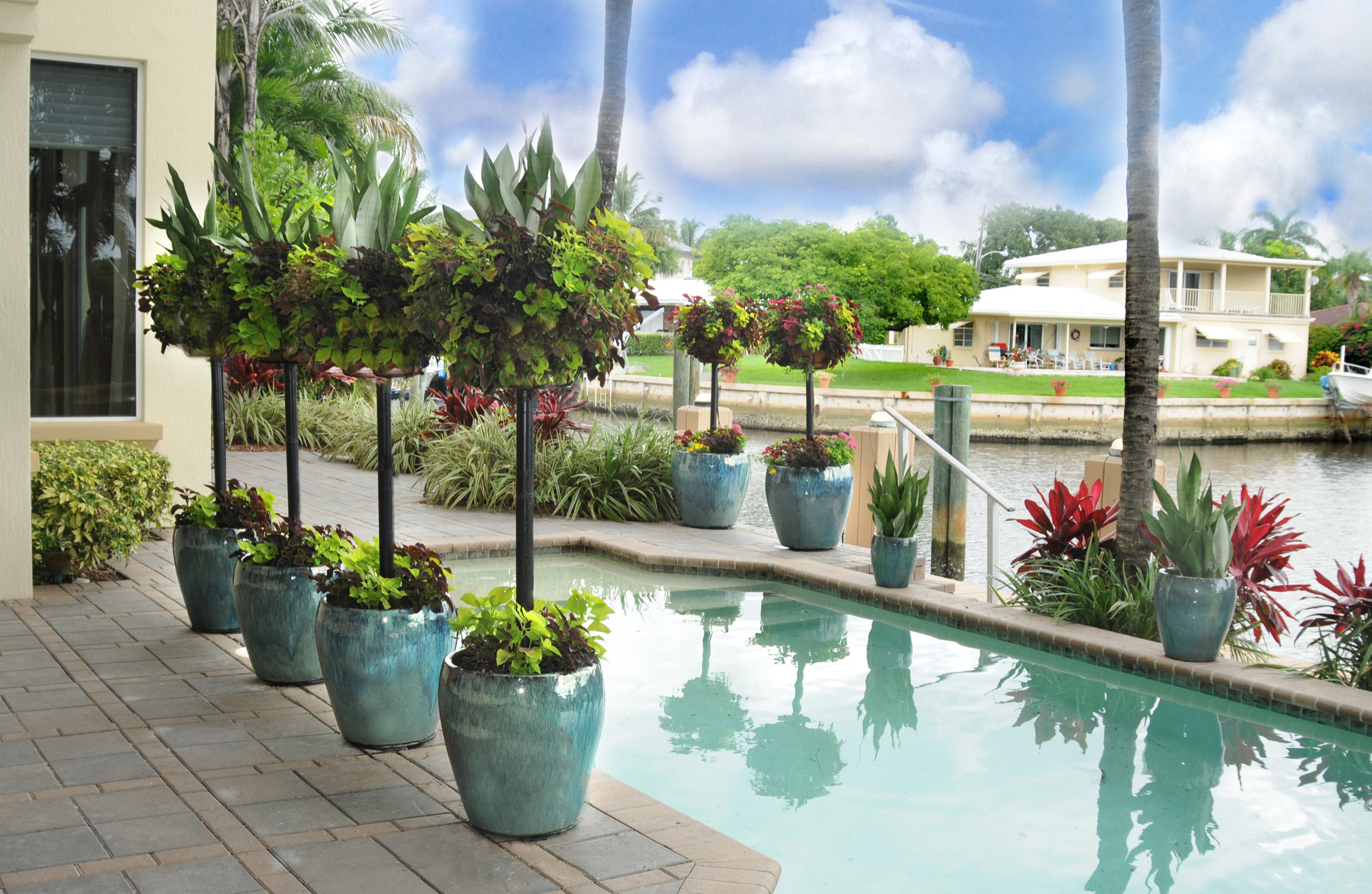 Вертикальная клумба: Полное руководство для начинающих и продолжающих