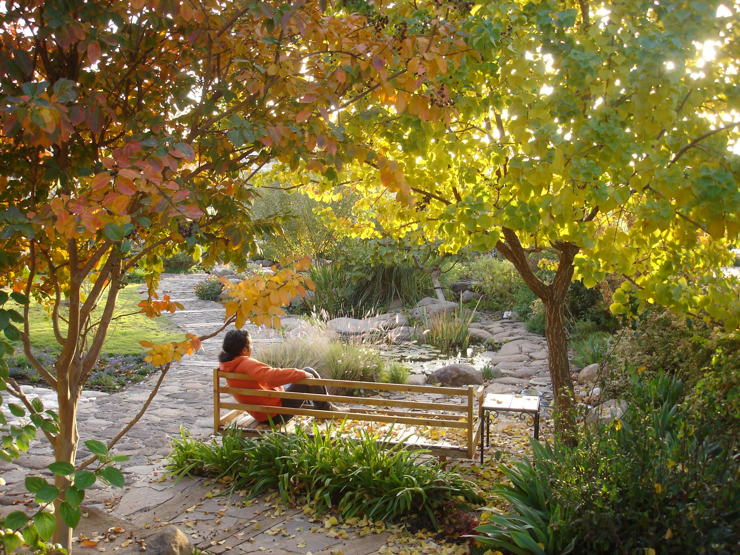 Личный опыт: Как моя семья переехала из столицы за город