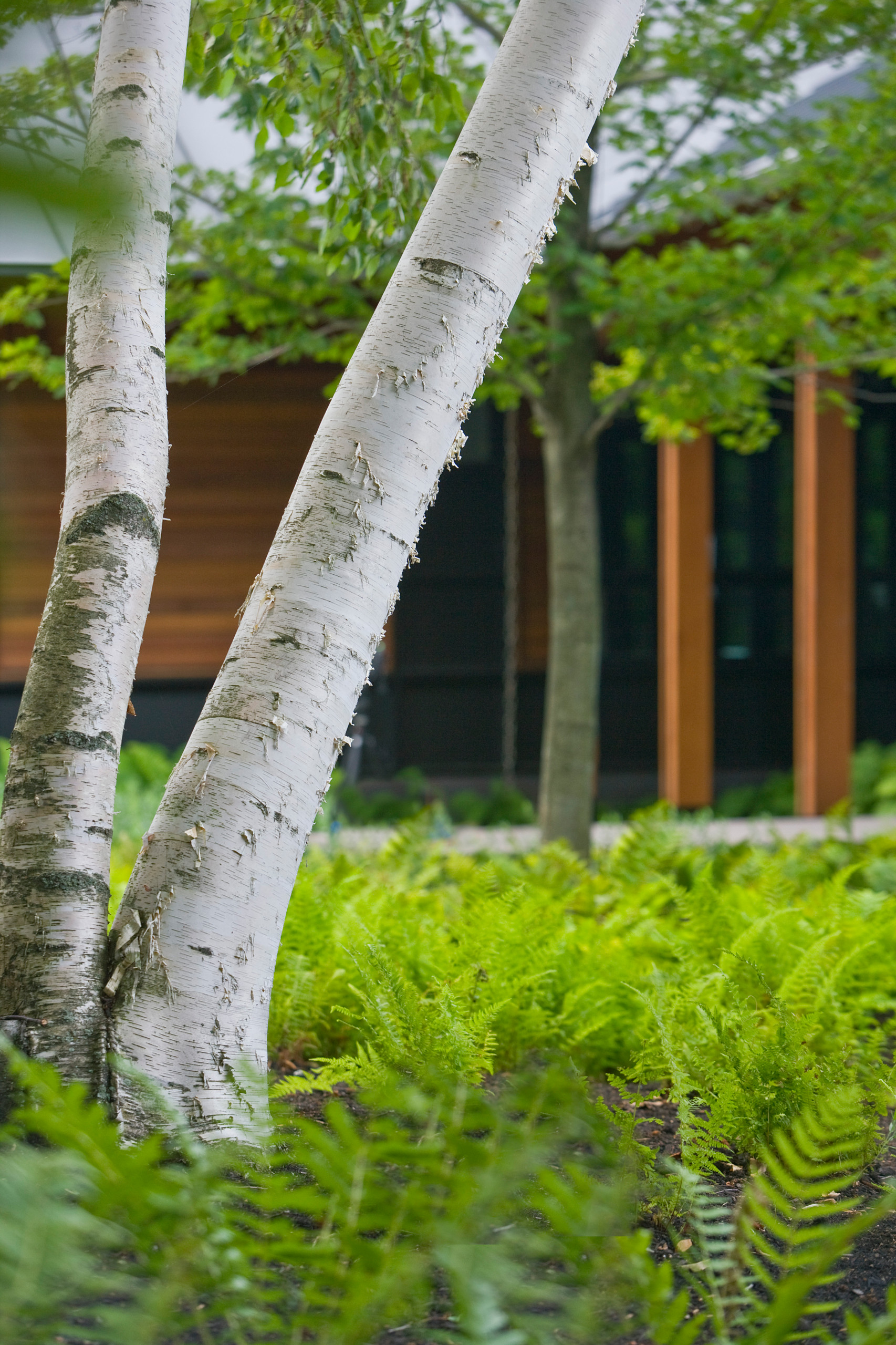 Хороший вопрос: Почему ваш участок не похож на фото из журнала