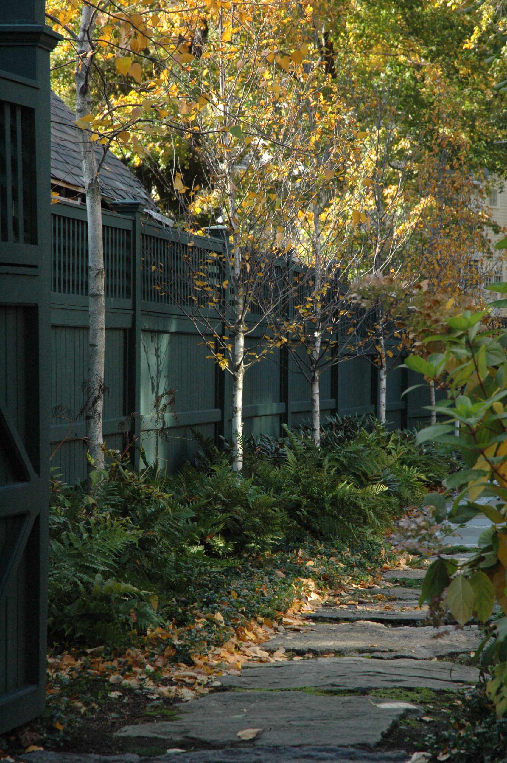 Без огня: Забудьте о кострах на садовых участках