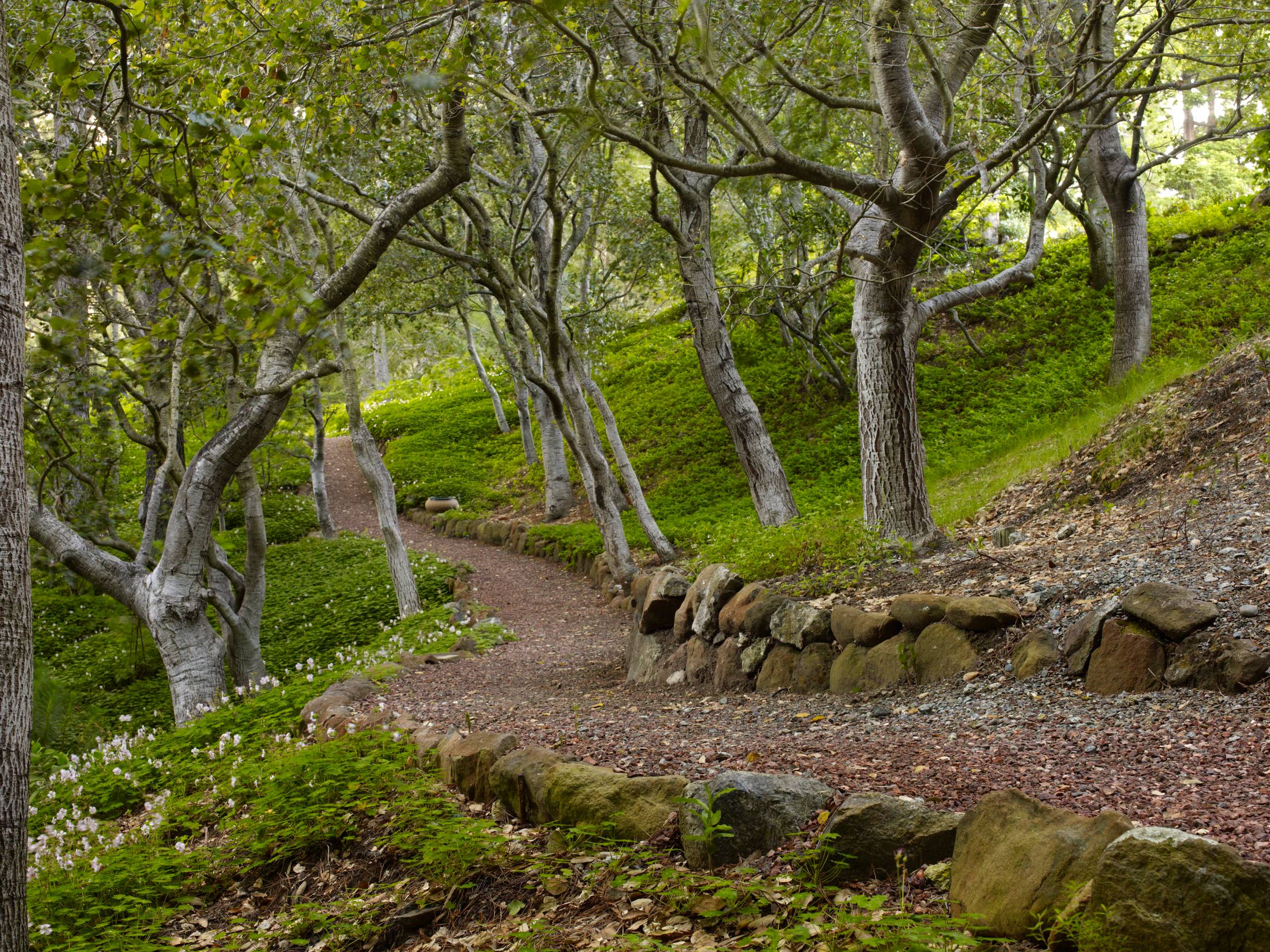 Вопрос: Как сделать свой сад привлекательным для птиц