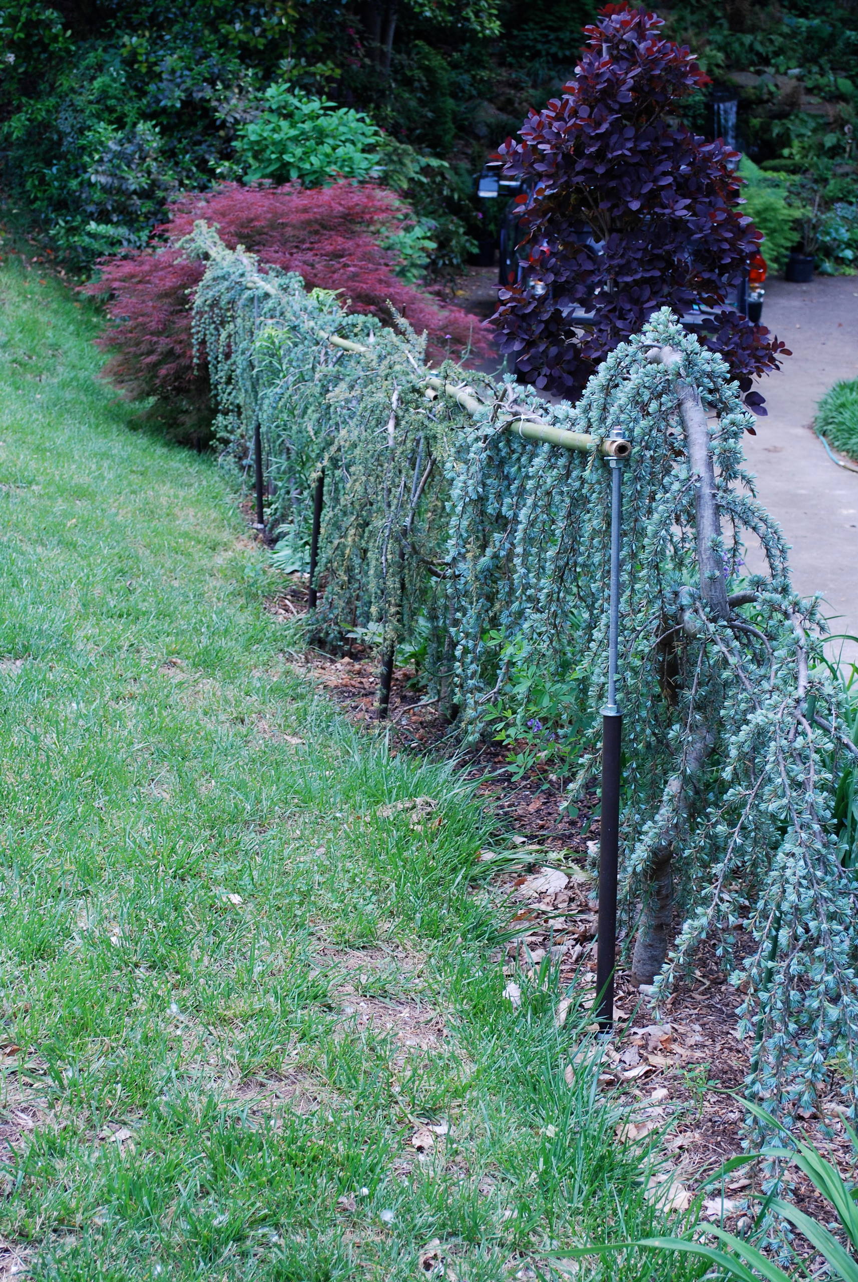 Одним цветом: Оформление участка в единой цветовой гамме