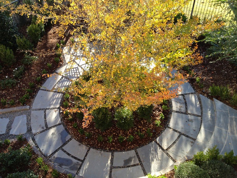 Свой круг: Как оформить приствольные круги деревьев