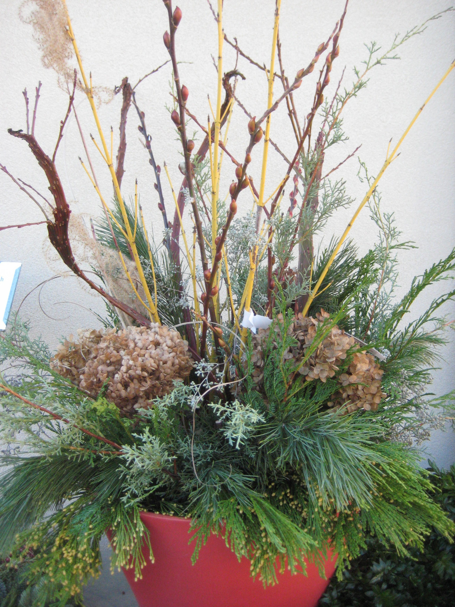 Вот и лето прошло: Что делать с растениями и уличными кашпо по осени