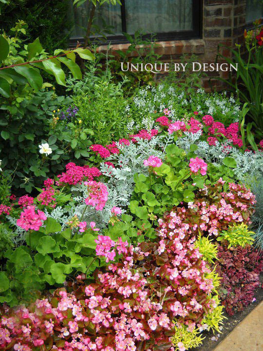 Хороший вопрос: Что посадить — однолетники или многолетники?