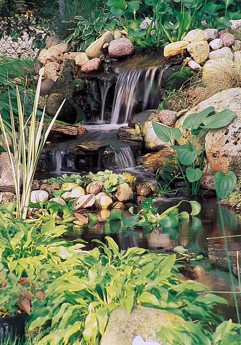 Пруд пруди: Декоративный водоем на участке — что важно знать