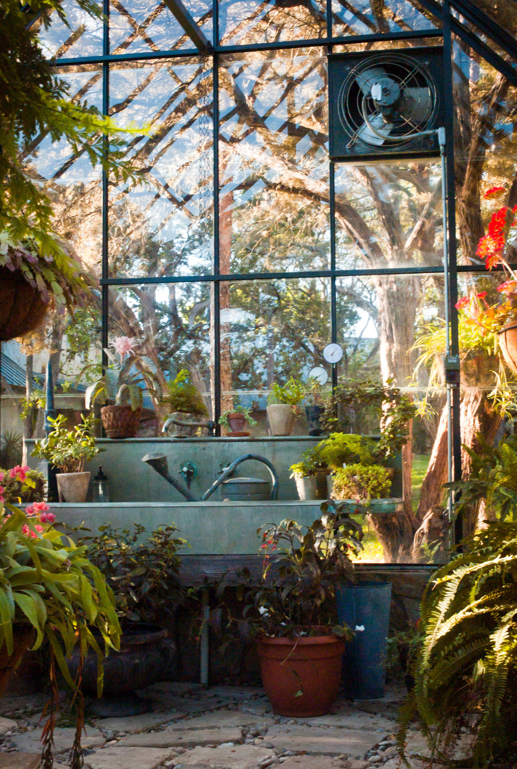 Солнечный дом: Теплица может быть красивой