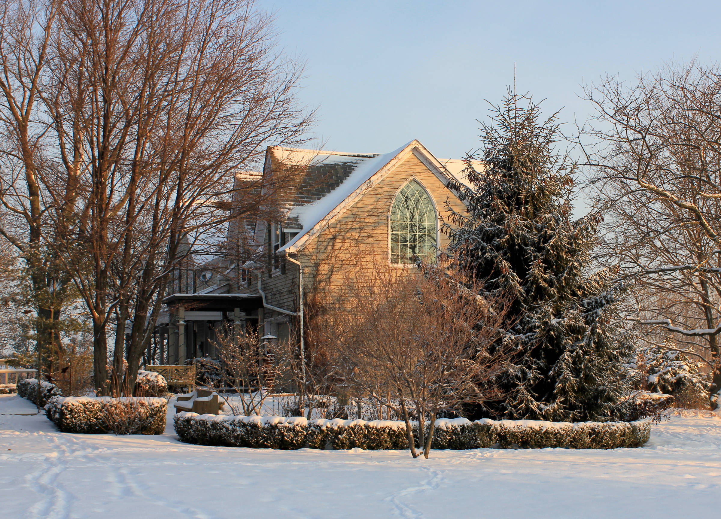 Елка будущего года: Какую выбрать и где посадить