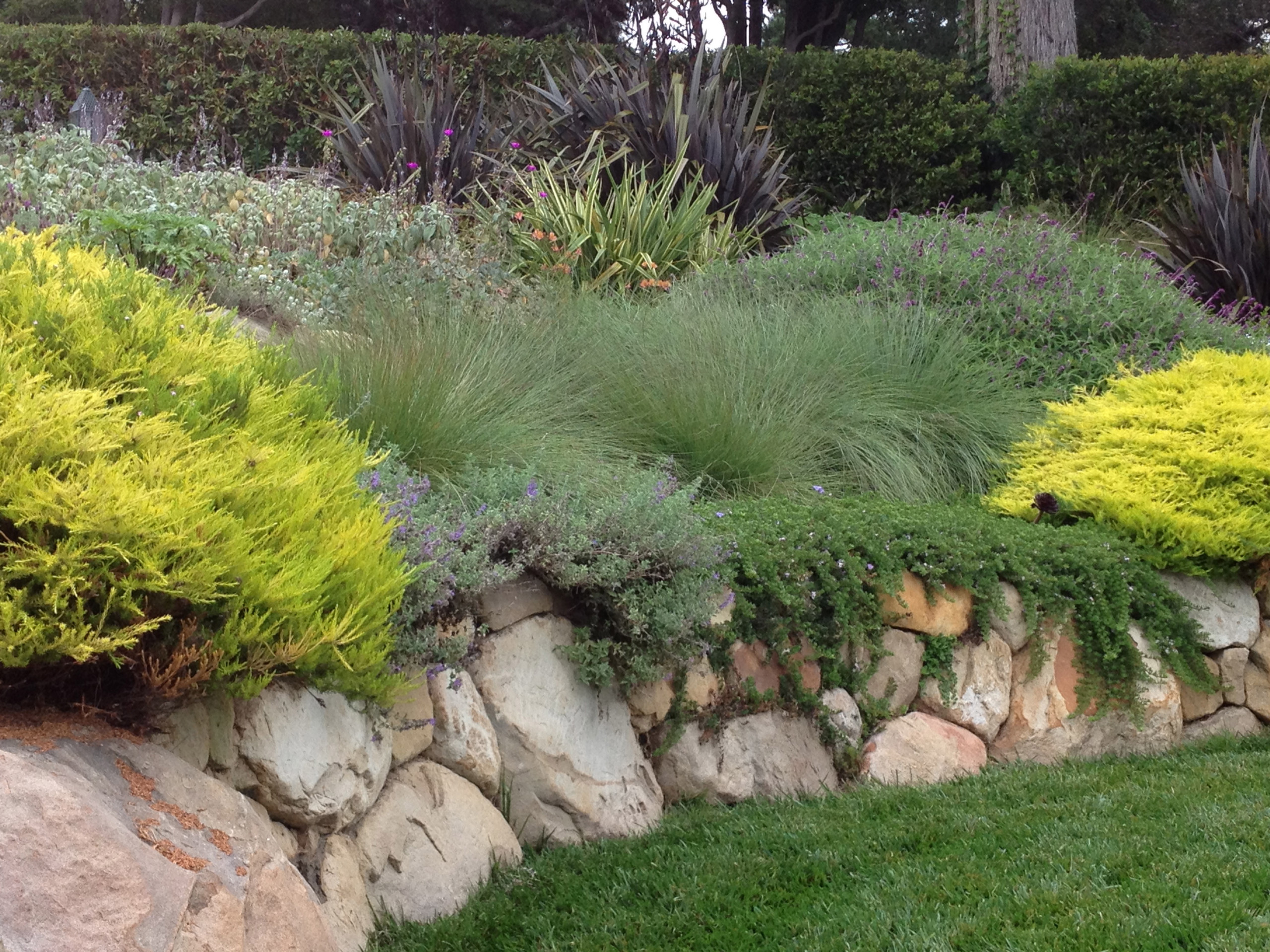 Камень в огород: Как использовать валуны в своем саду