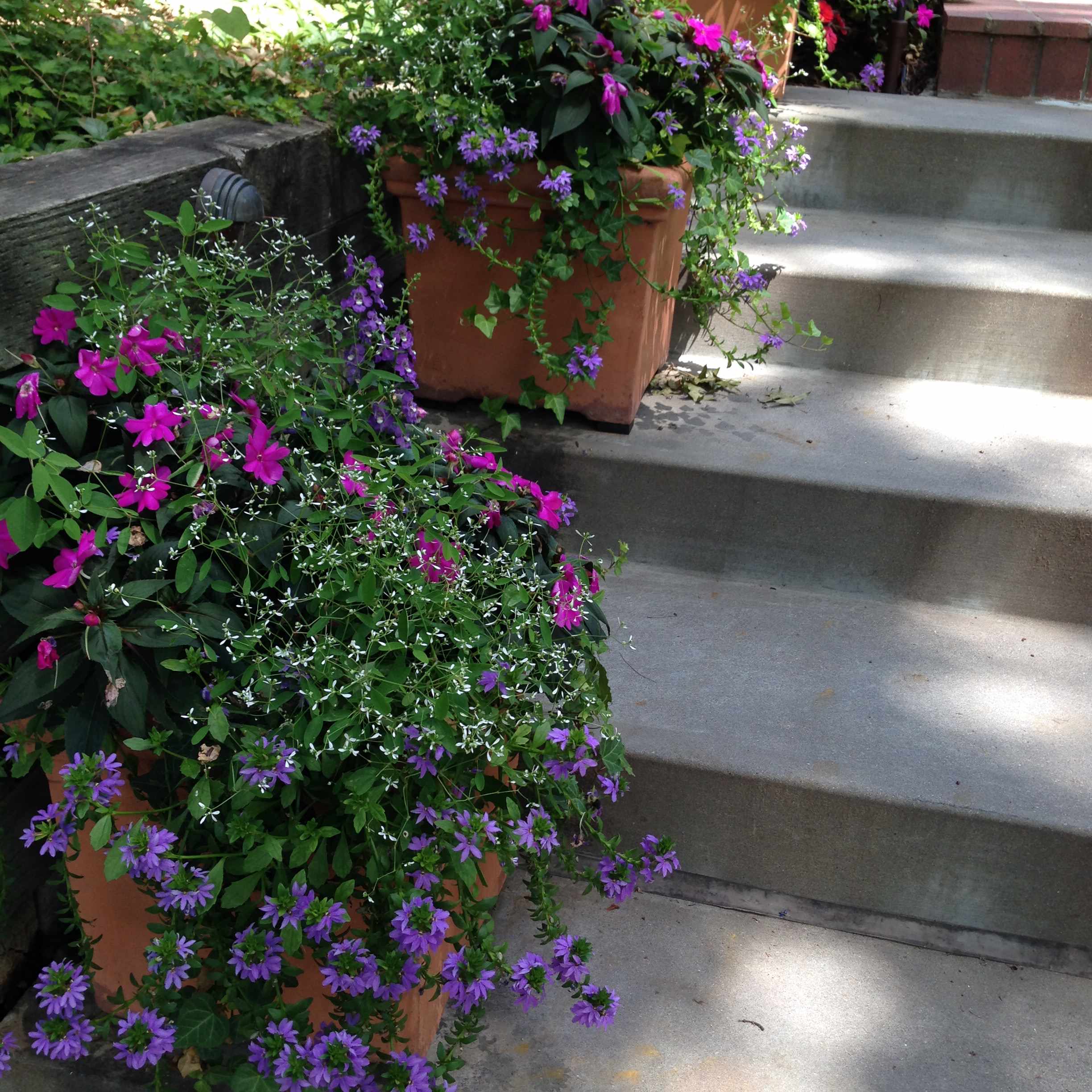 Горшку — место: 14 идей, куда можно поставить растения в кашпо