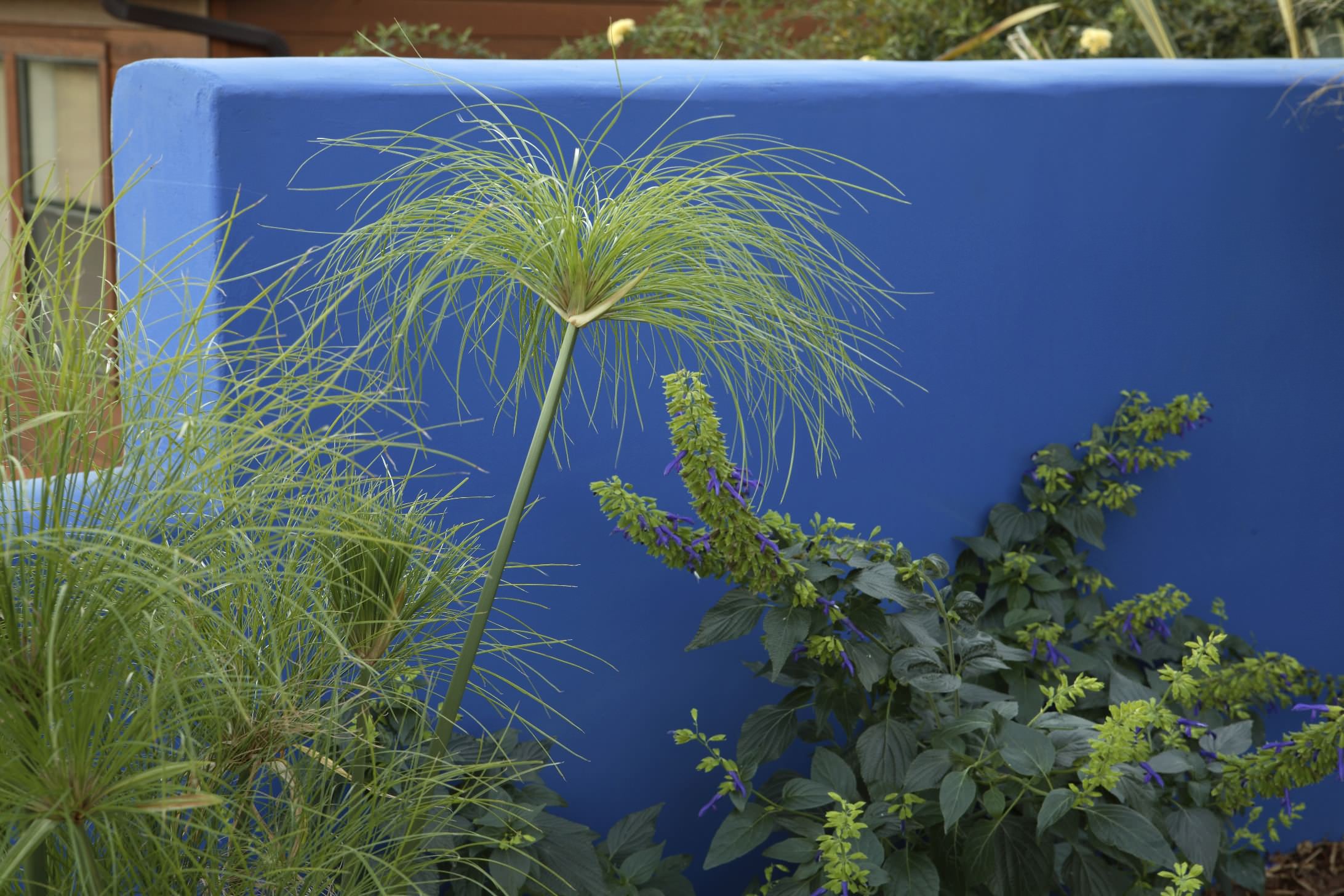 Добавьте цвета: Какой оттенок выбрать для забора?