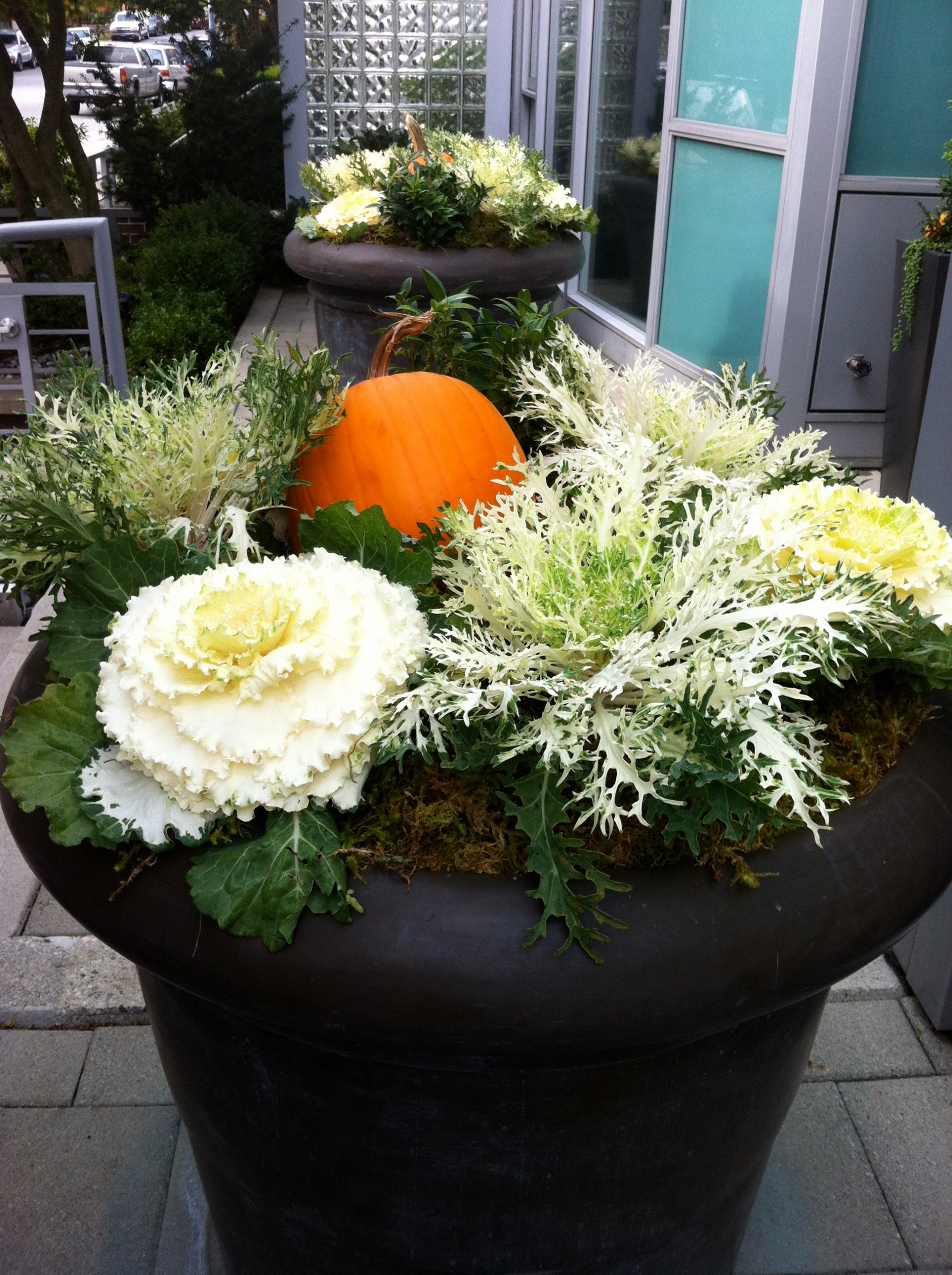 Фотоохота: 45 идей осенних кашпо