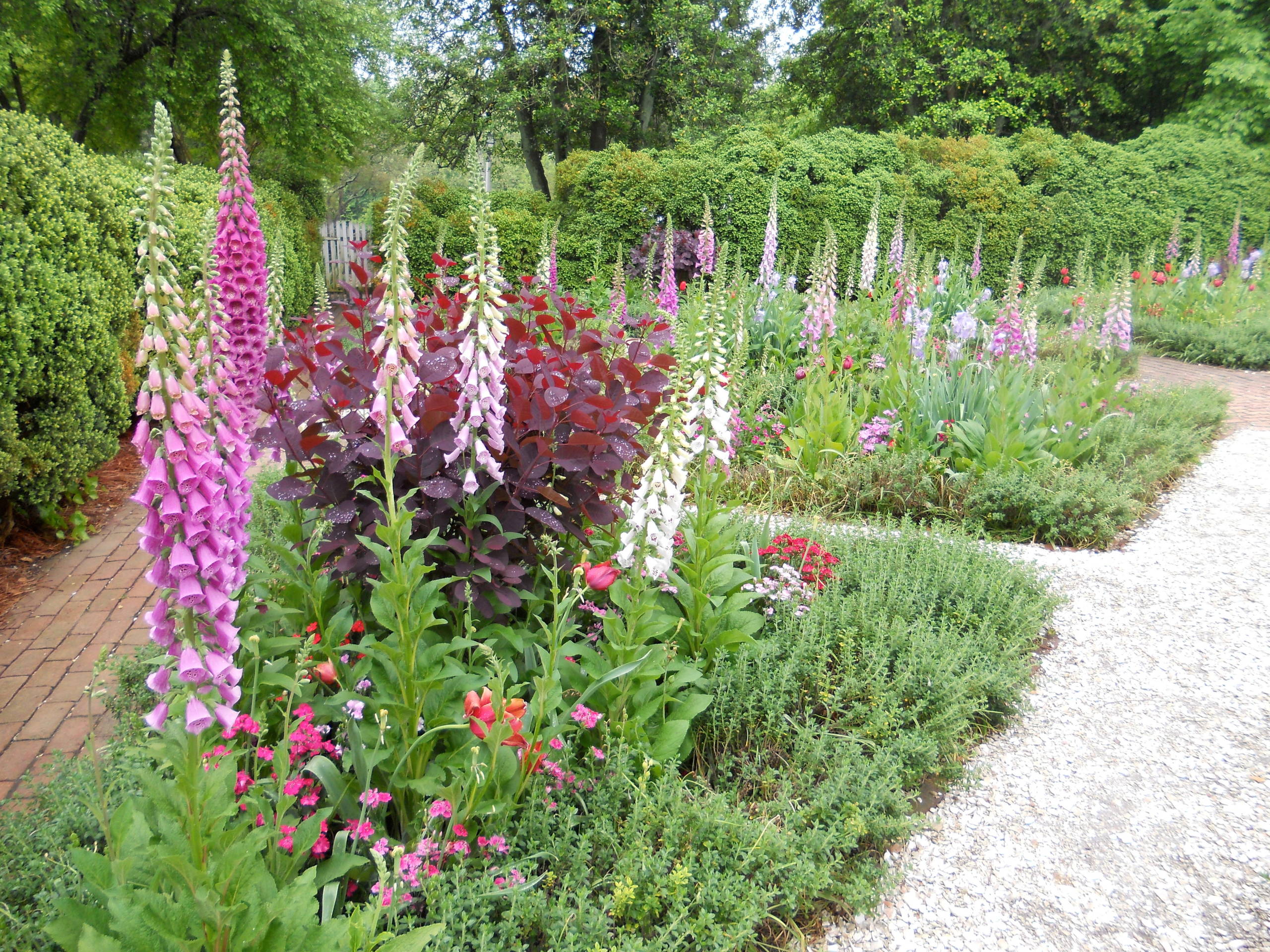 Хороший вопрос: А стоит ли бороться с сорняками на дачном участке