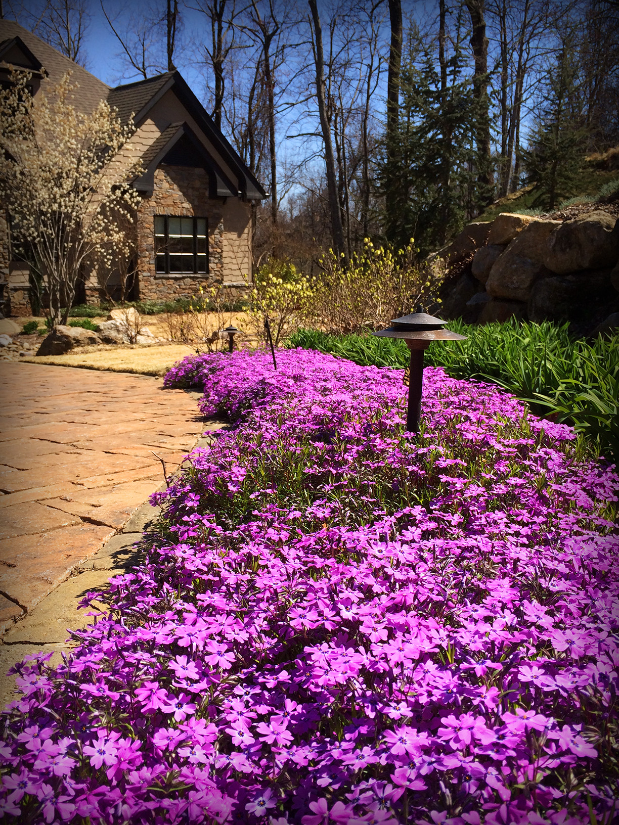 Игры на траве: Что нужно знать про оформление газонов