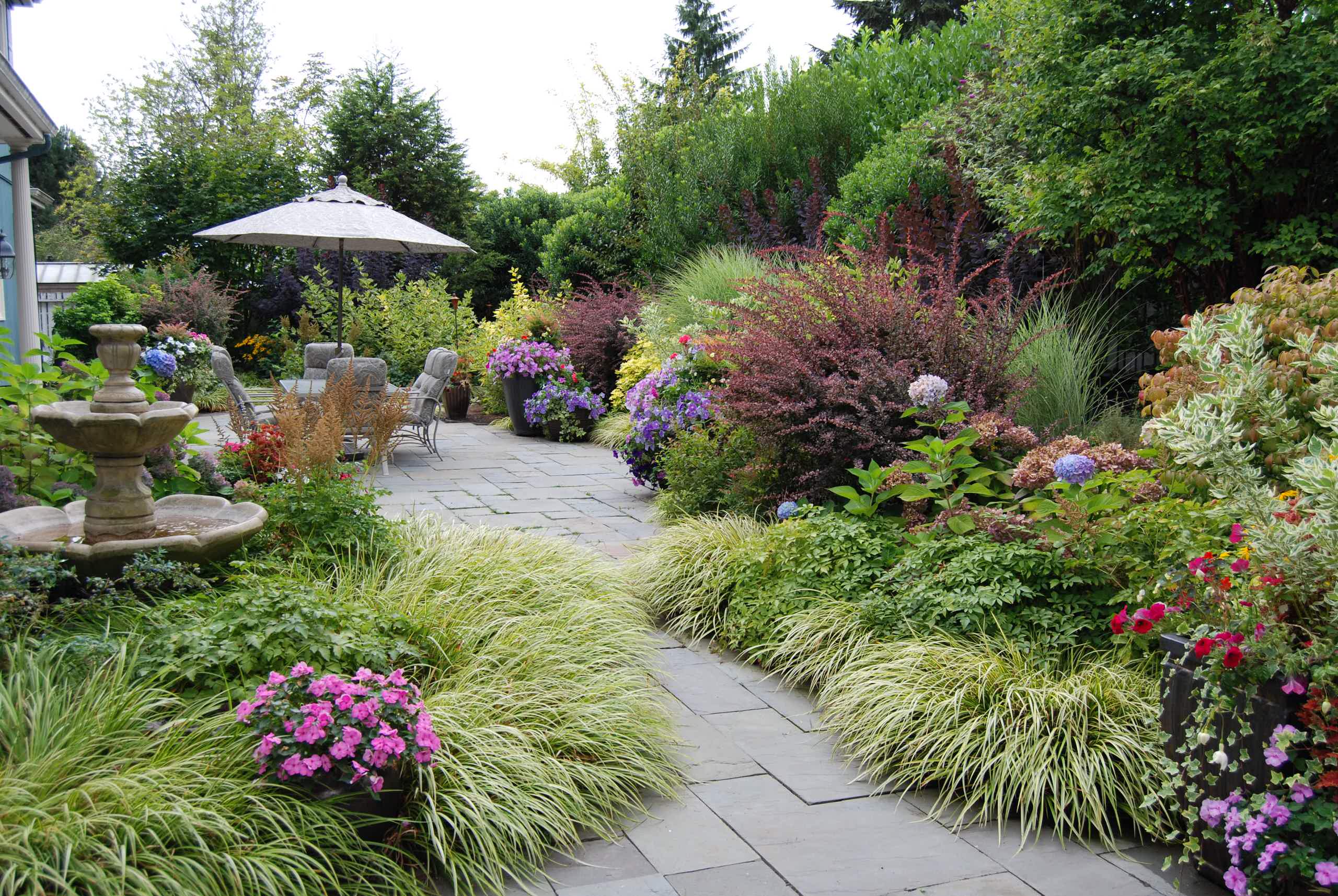 Осенний сад: Критерии выбора посадочного материала