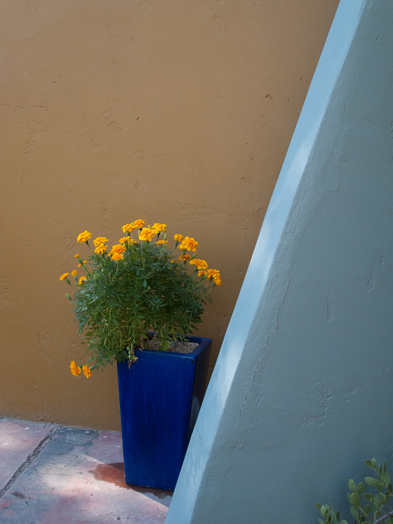 Добавьте цвета: Какой оттенок выбрать для забора?