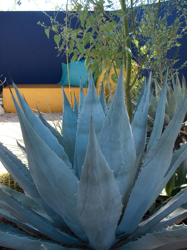 Добавьте цвета: Какой оттенок выбрать для забора?