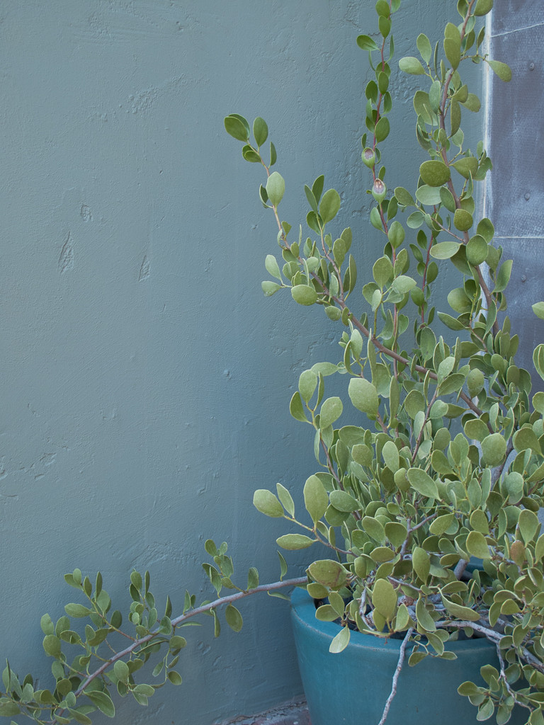 Добавьте цвета: Какой оттенок выбрать для забора?