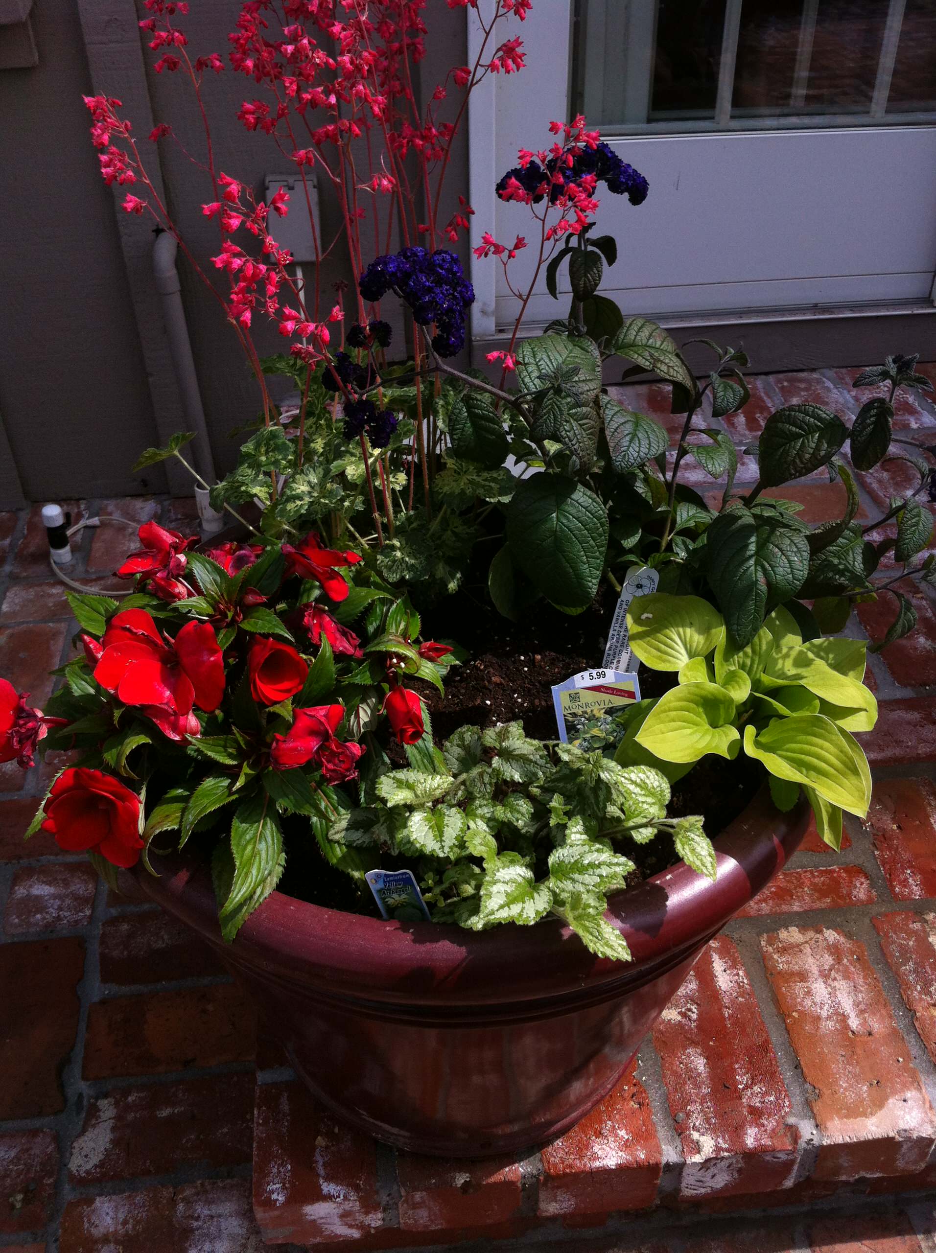 Блиц-озеленение: Как получить цветущий балкон за два дня