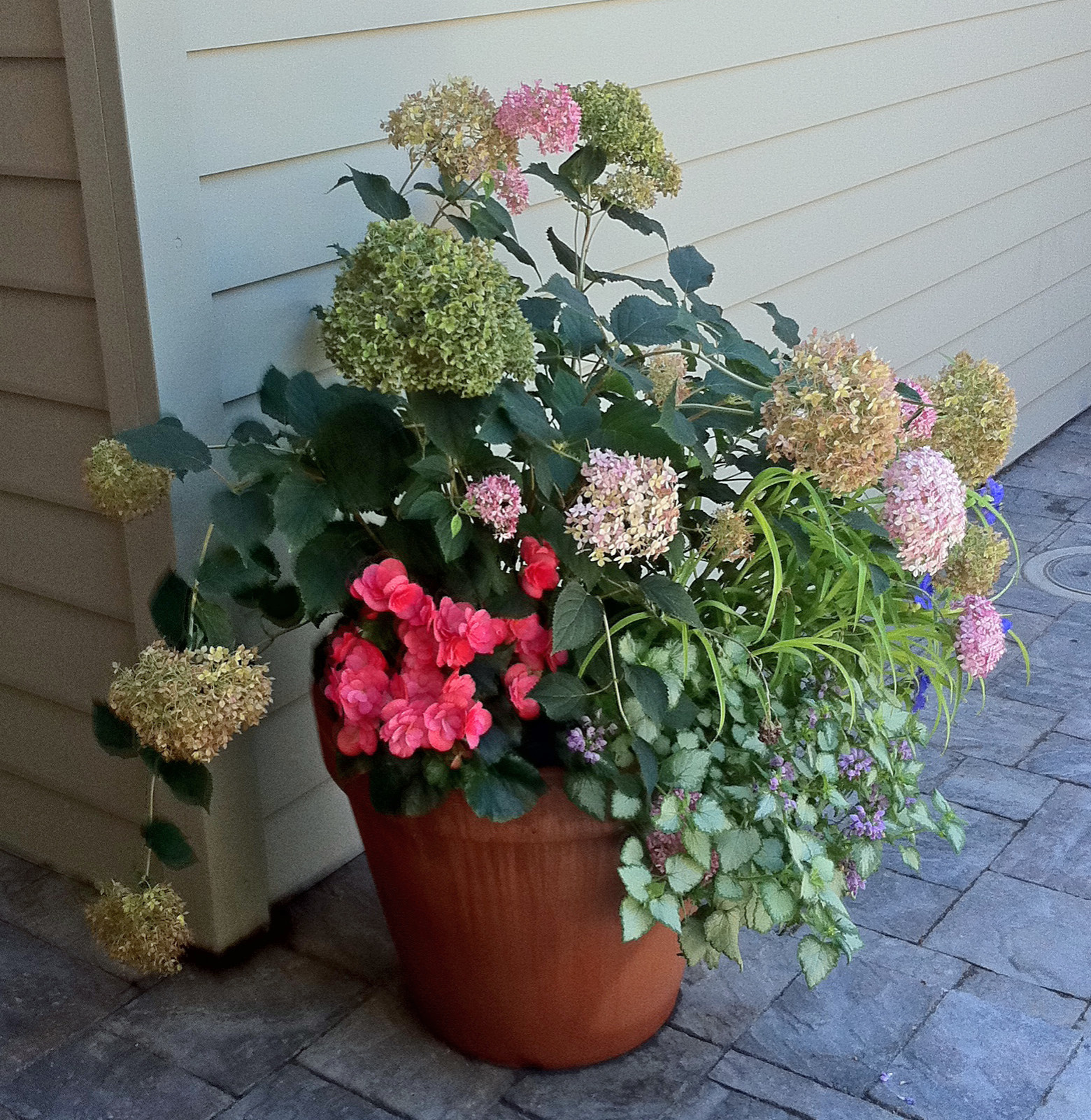 Сад в контейнере: 11 эффектных композиций для вашего балкона