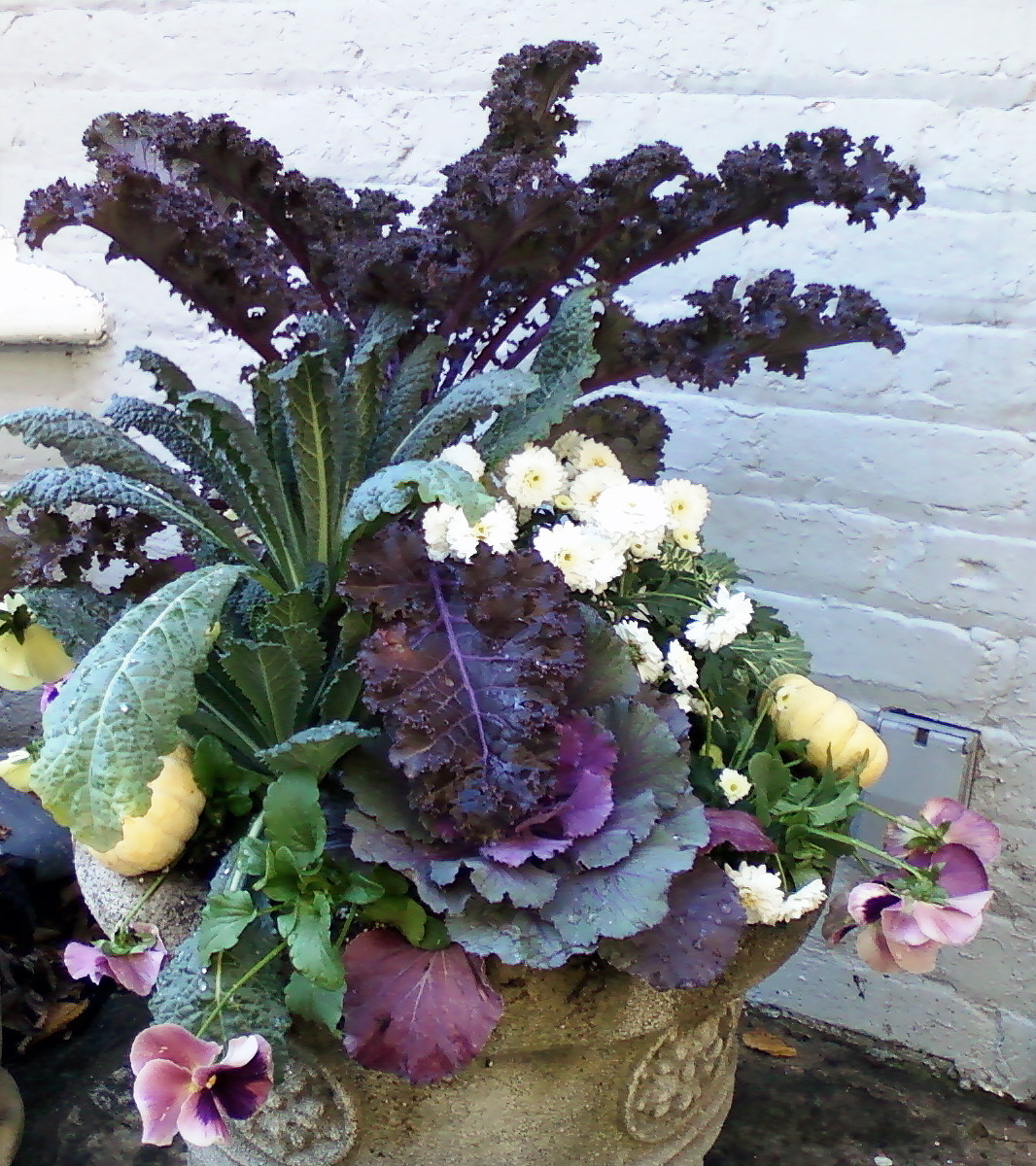 Фотоохота: 45 идей осенних кашпо