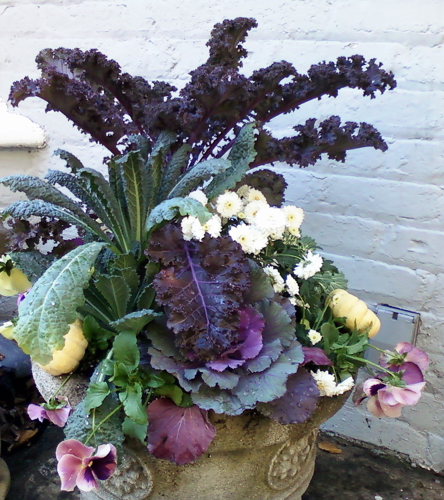 Фотоохота: 45 идей осенних кашпо