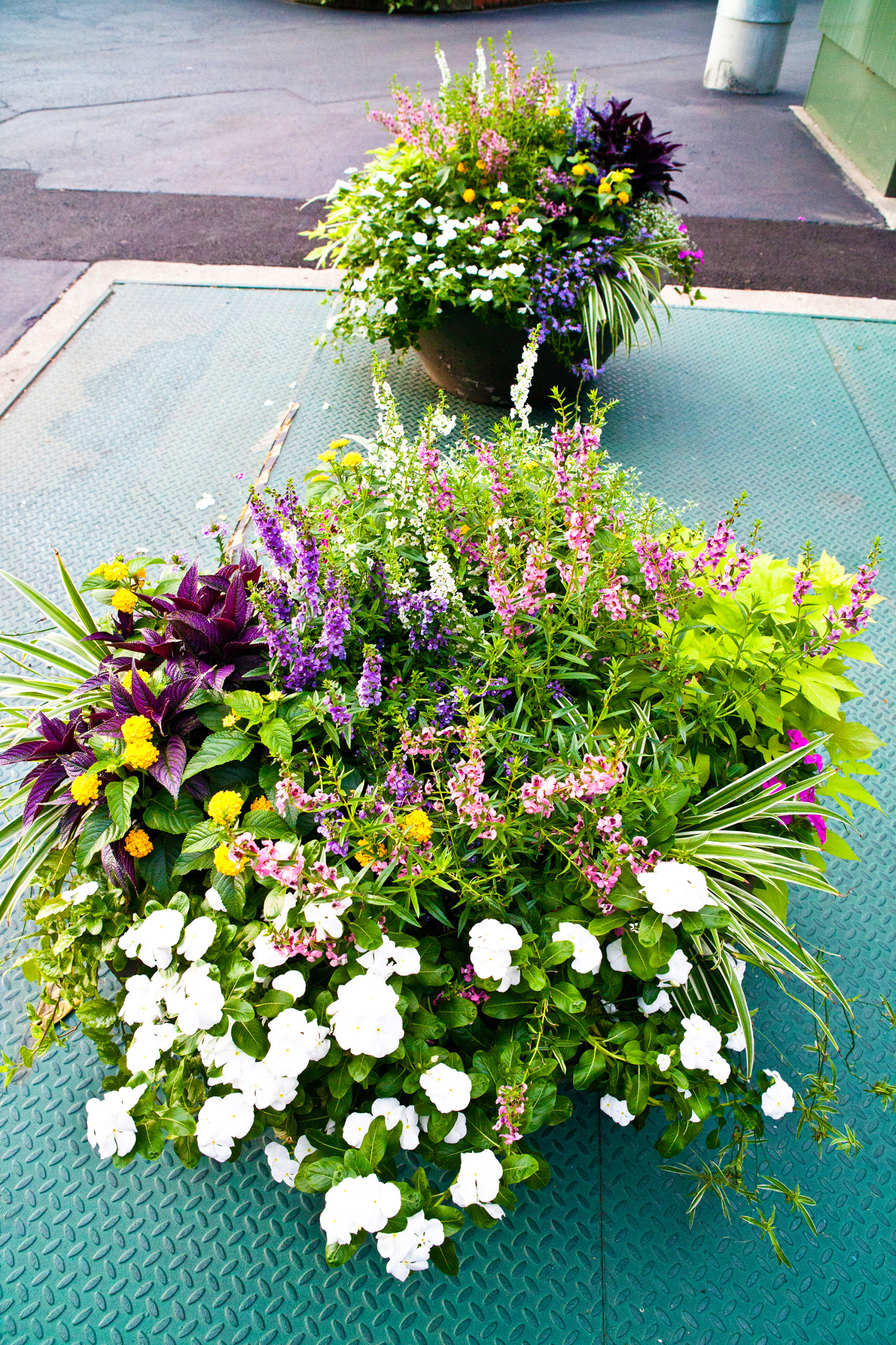 Сад в контейнере: 11 эффектных композиций для вашего балкона