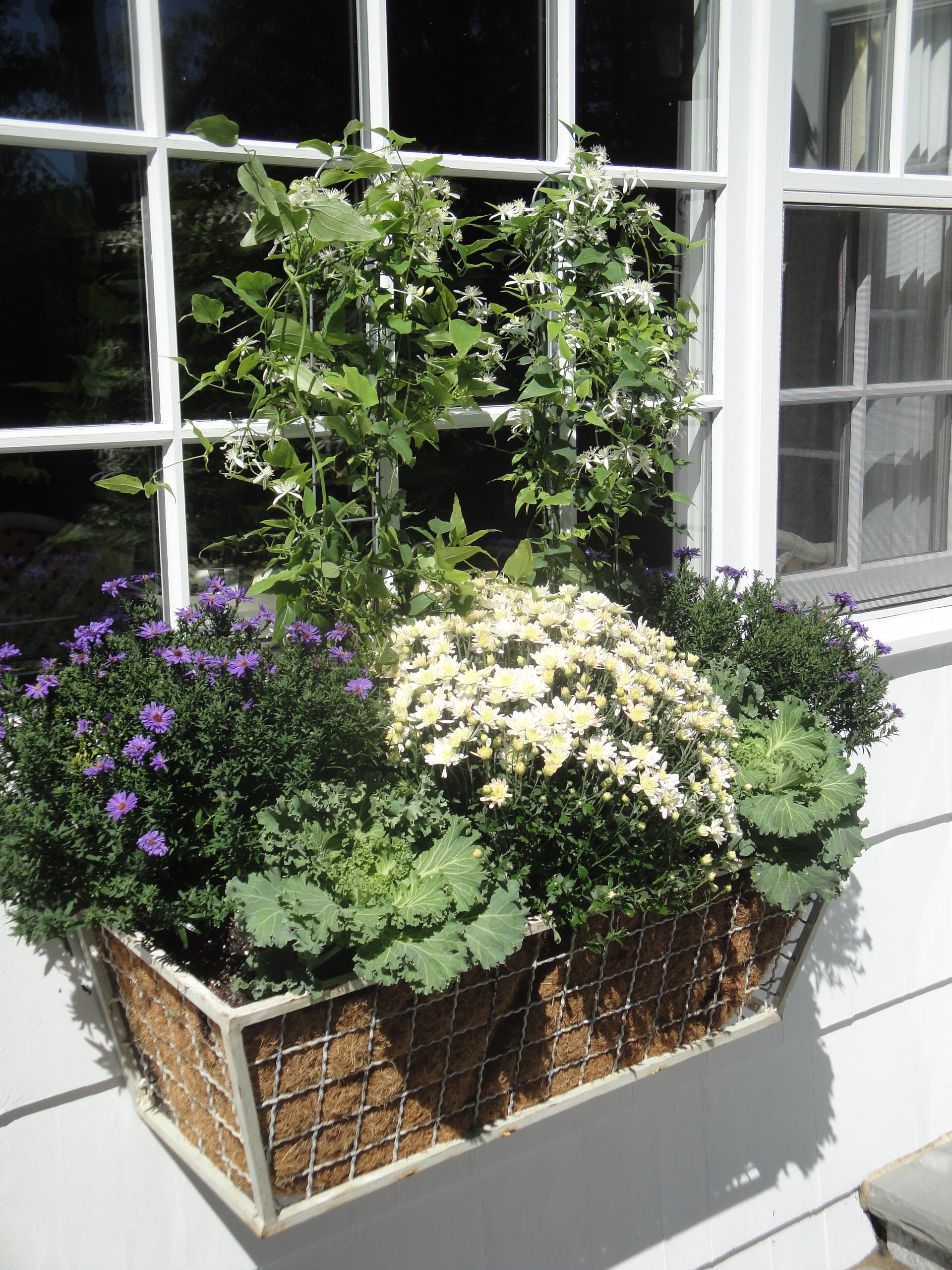 Цветы за окном квартиры: 9 готовых схем