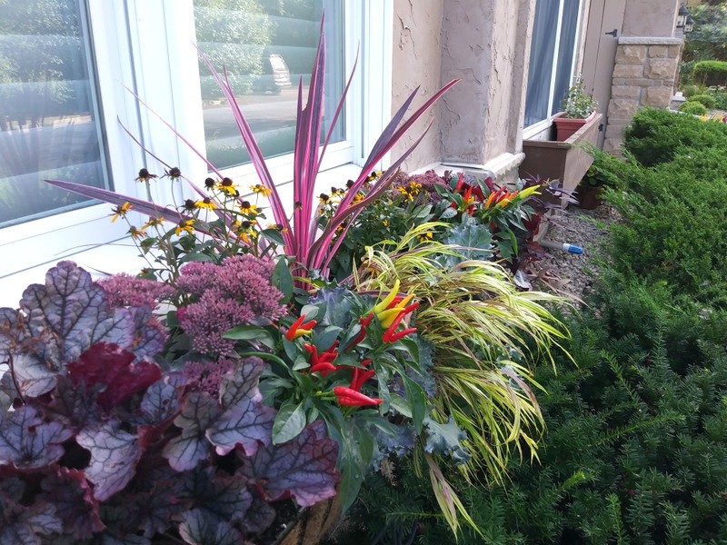 Фотоохота: 45 идей осенних кашпо