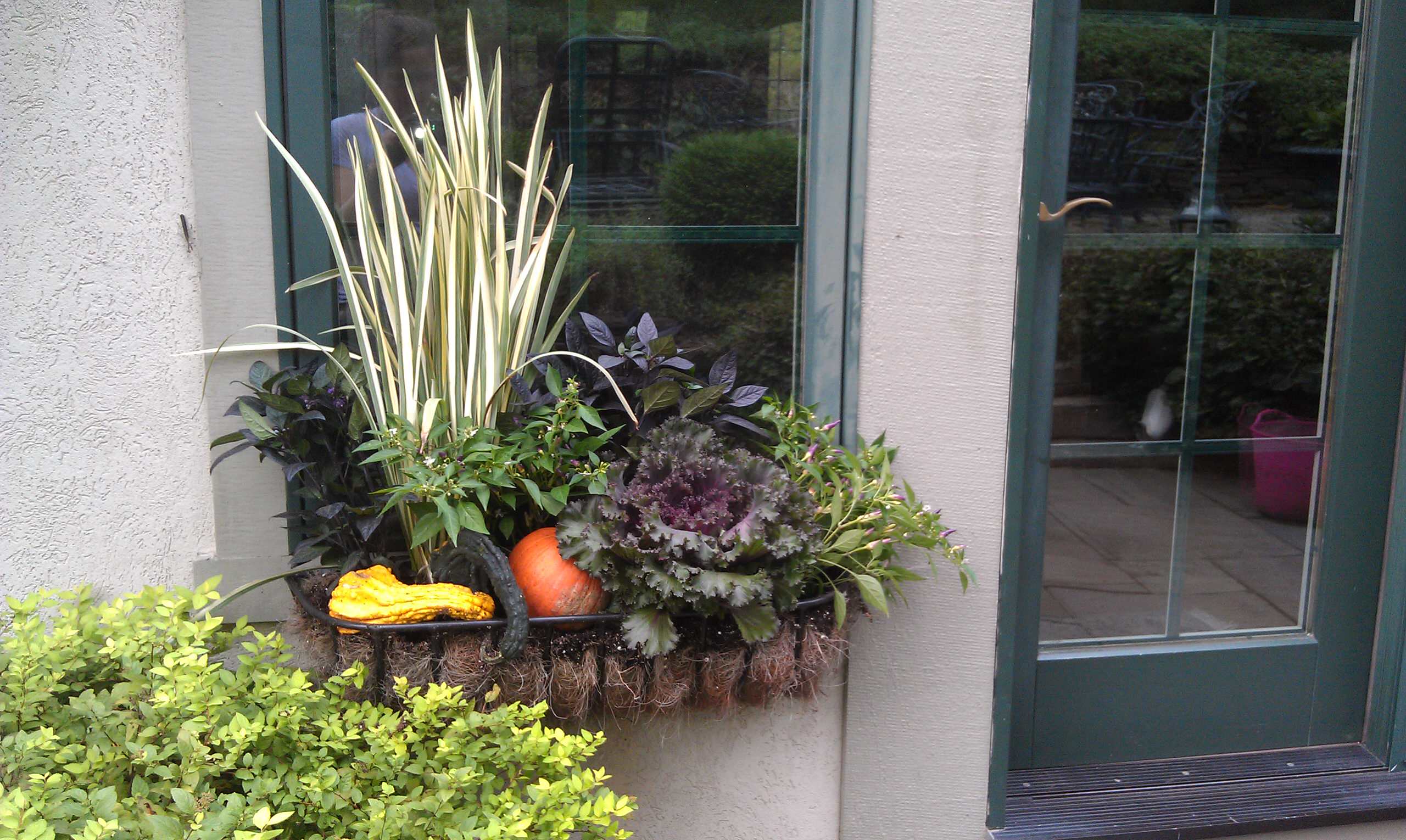 Как правильно: Горшечный сад осенью — проводим апгрейд