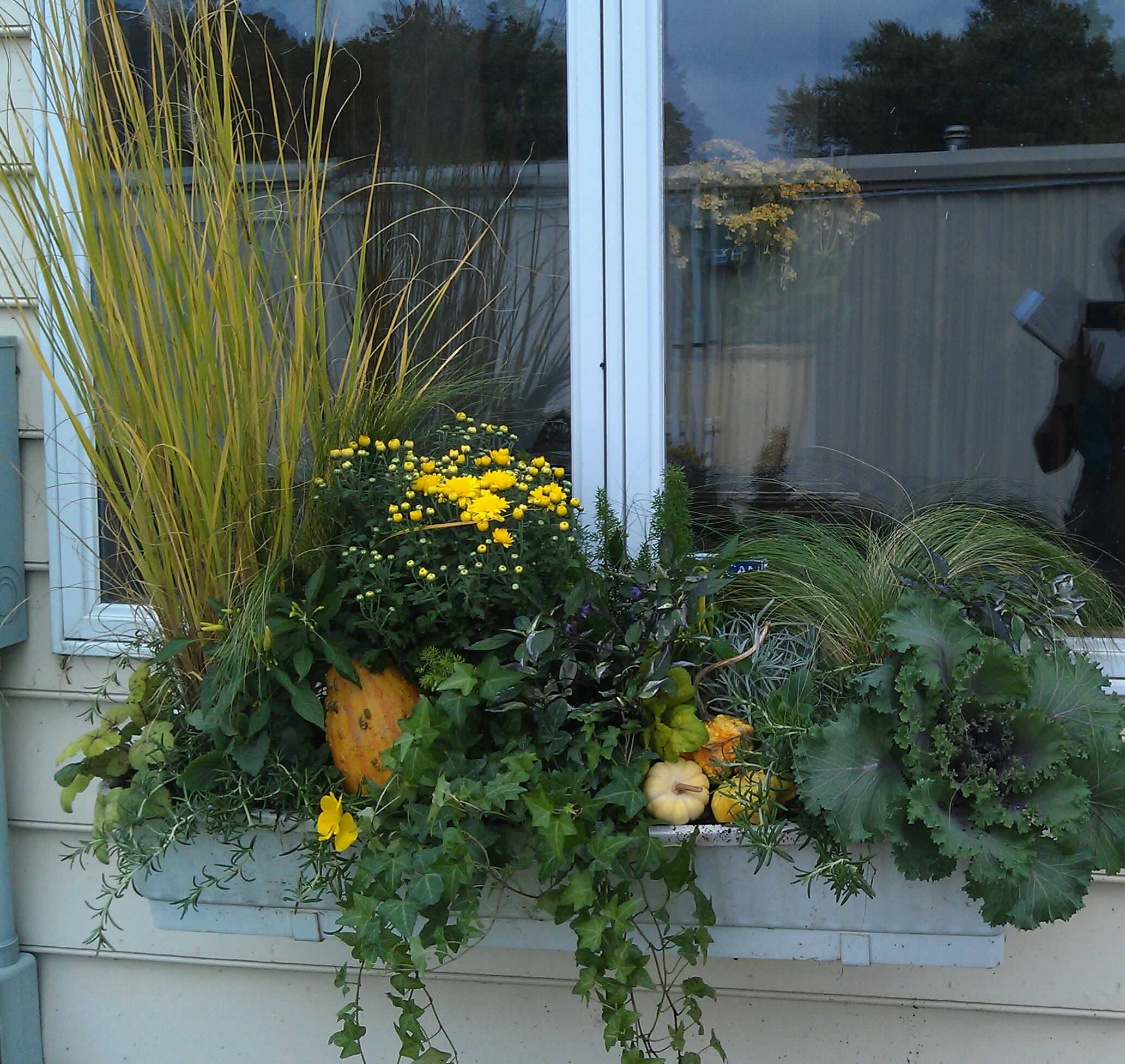 Фотоохота: 45 идей осенних кашпо