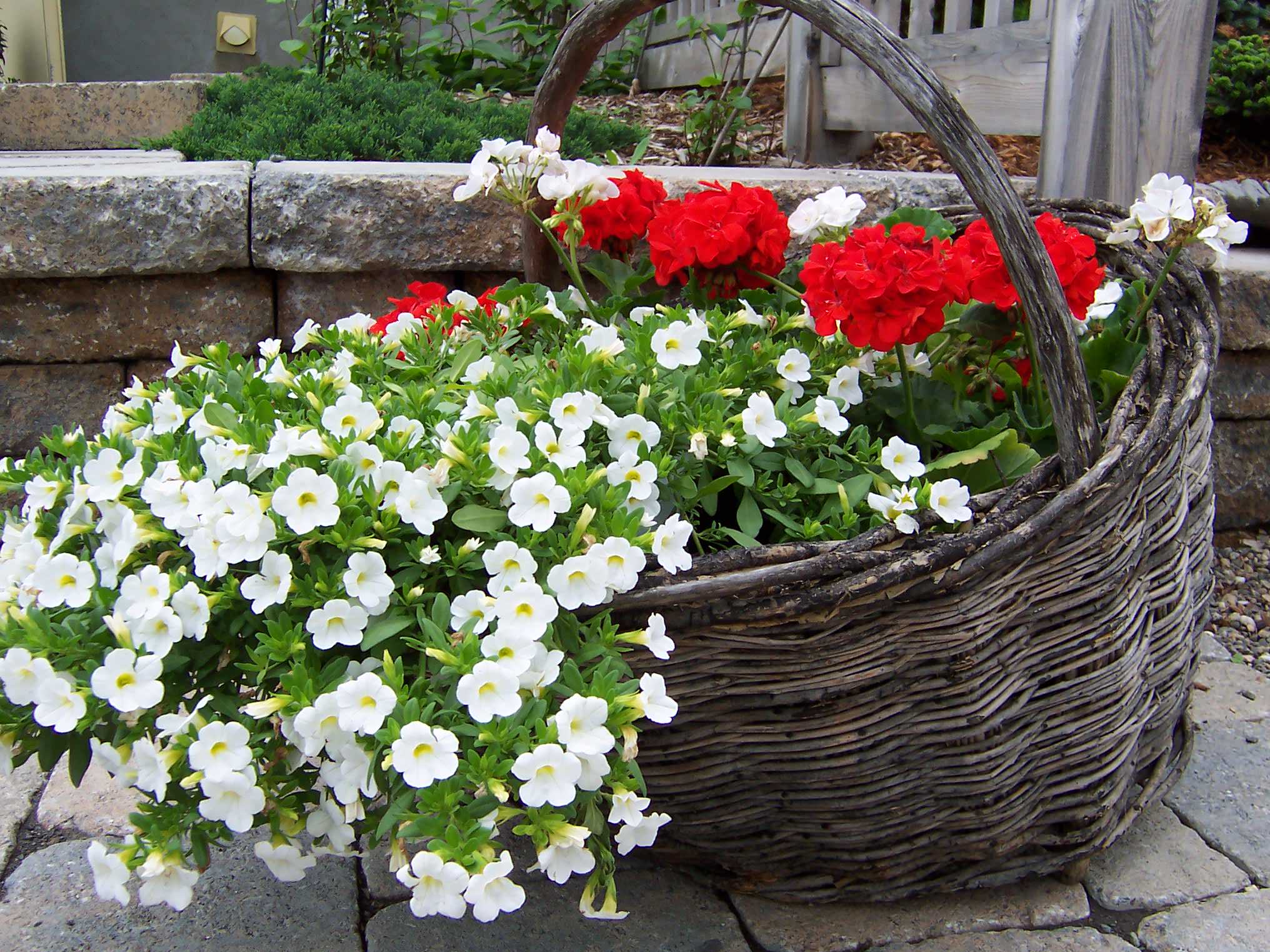 Цветы за окном квартиры: 9 готовых схем