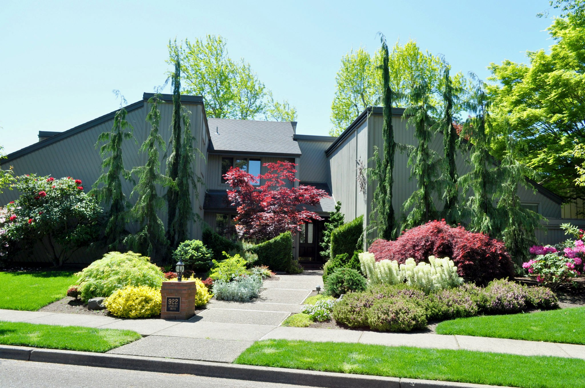 Райские кущи: Золотые правила рассадки кустарников в вашем саду