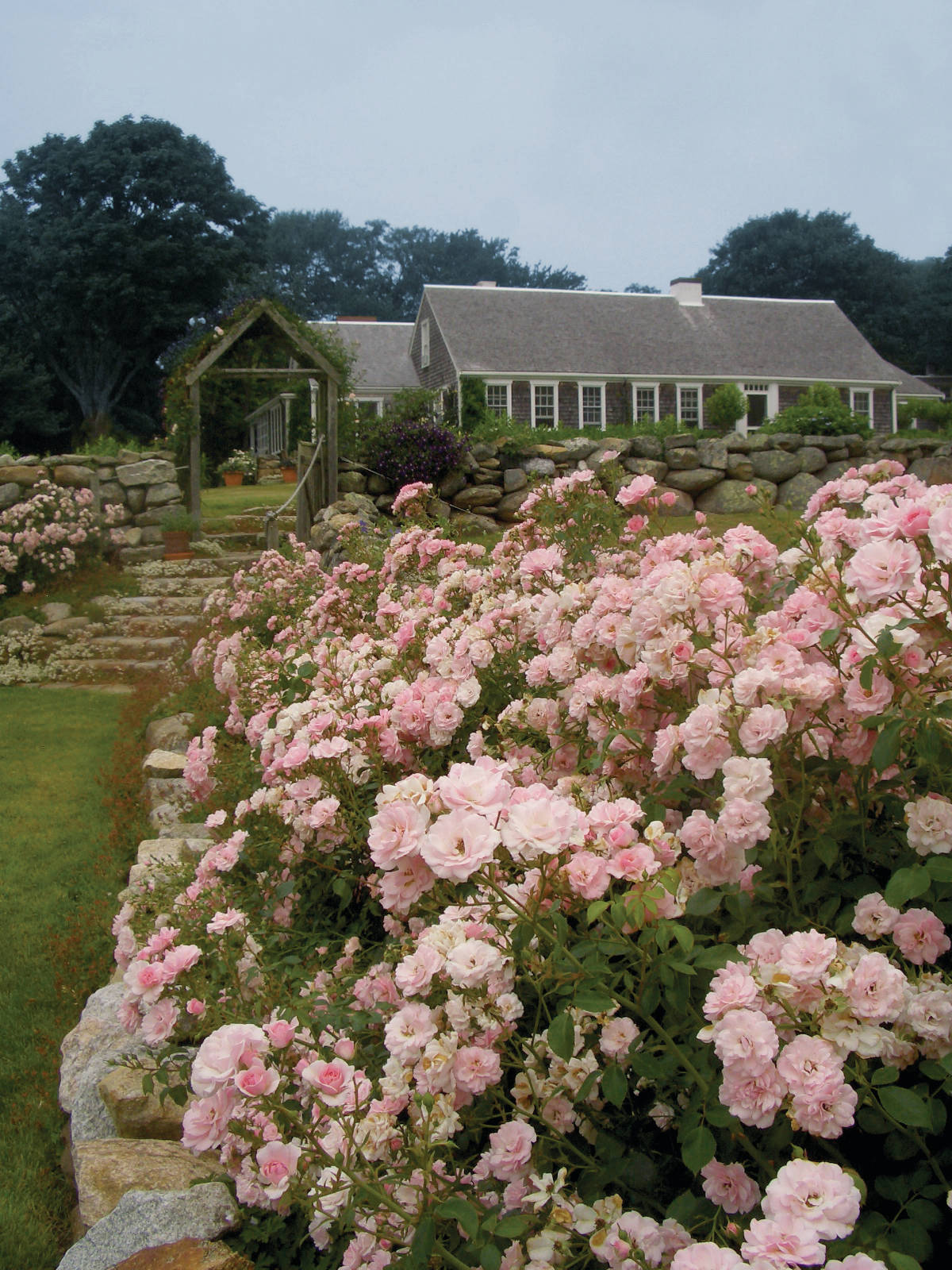 Одним цветом: Оформление участка в единой цветовой гамме