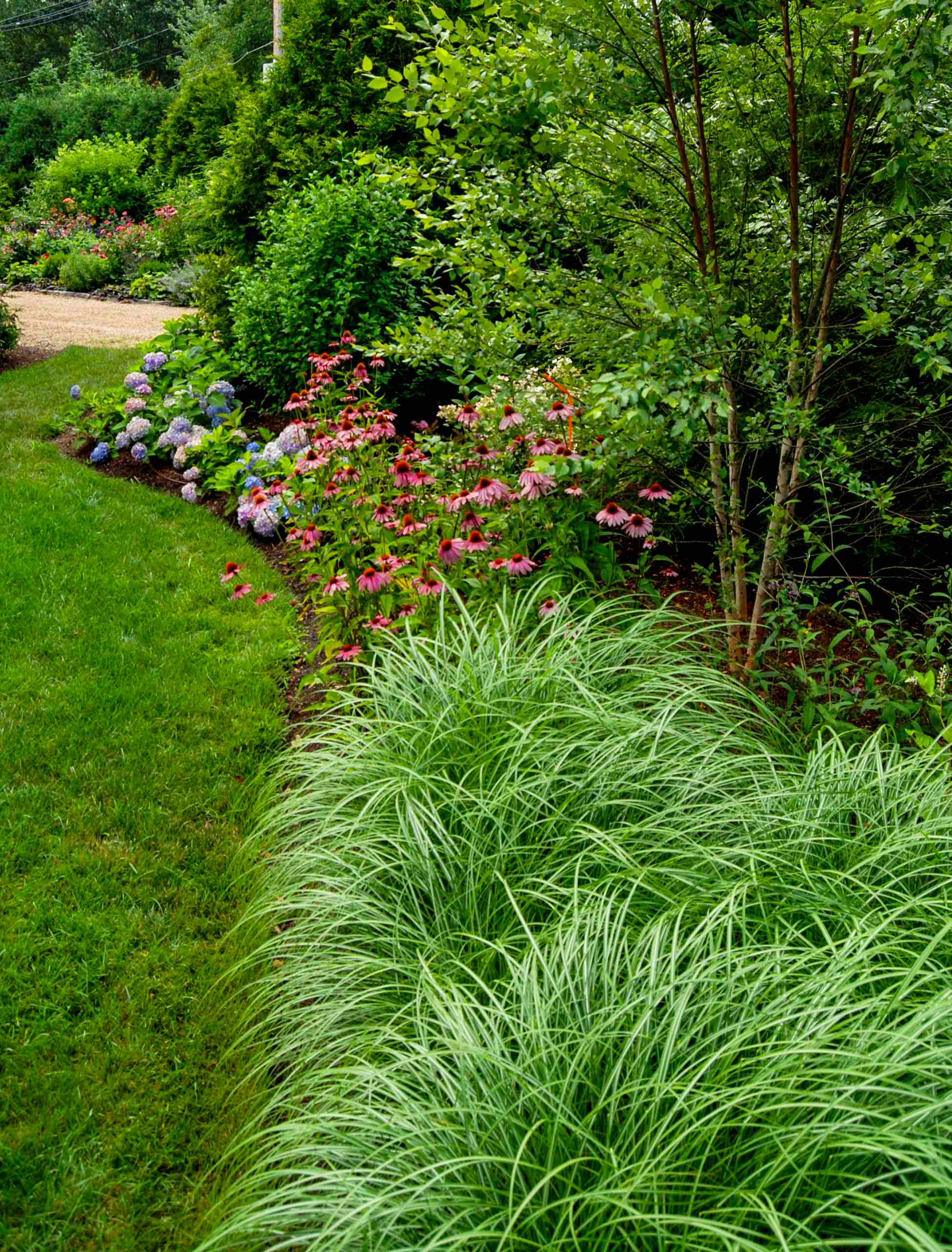 На краю цвета: Из чего сделать бордюры для клумбы