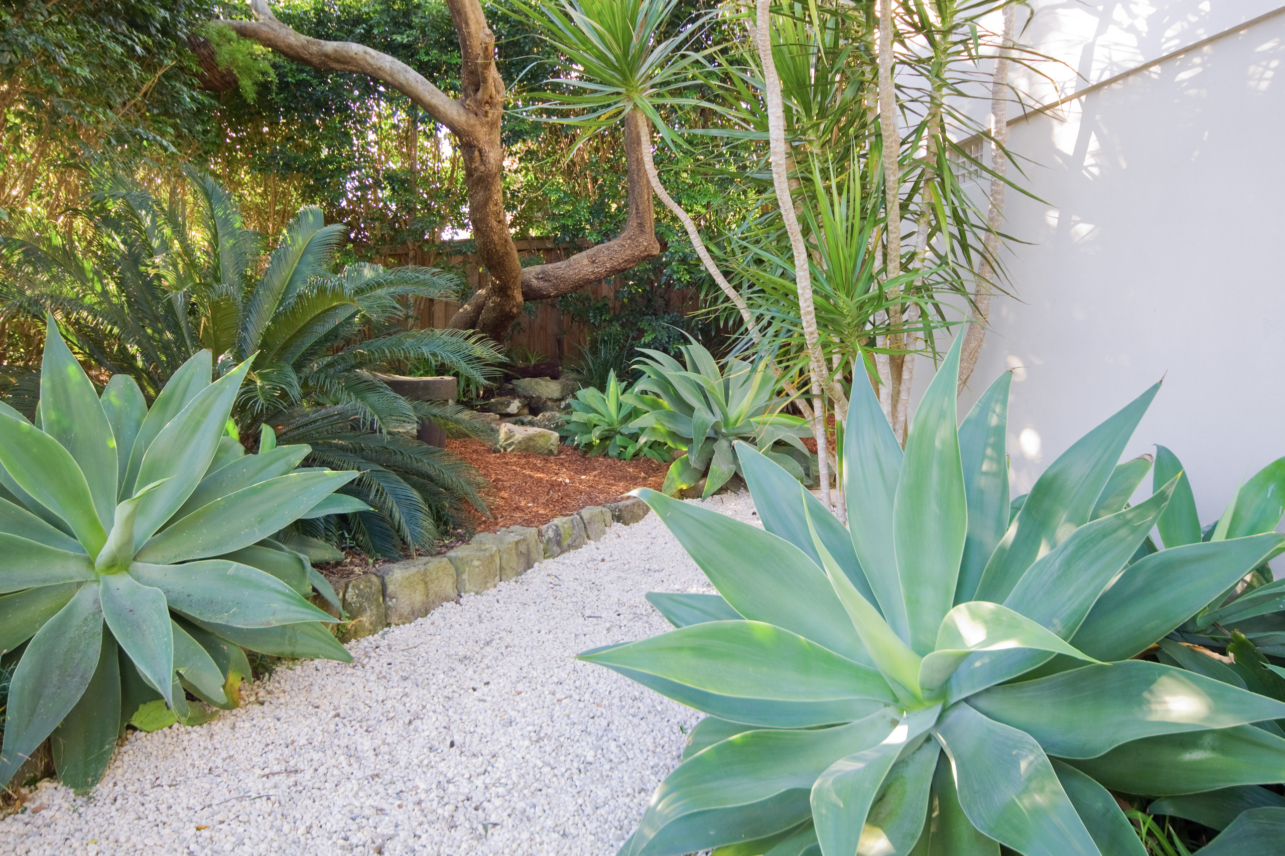 Houzz Австралия: Дом-лайнер для одной счастливой семьи из Сиднея