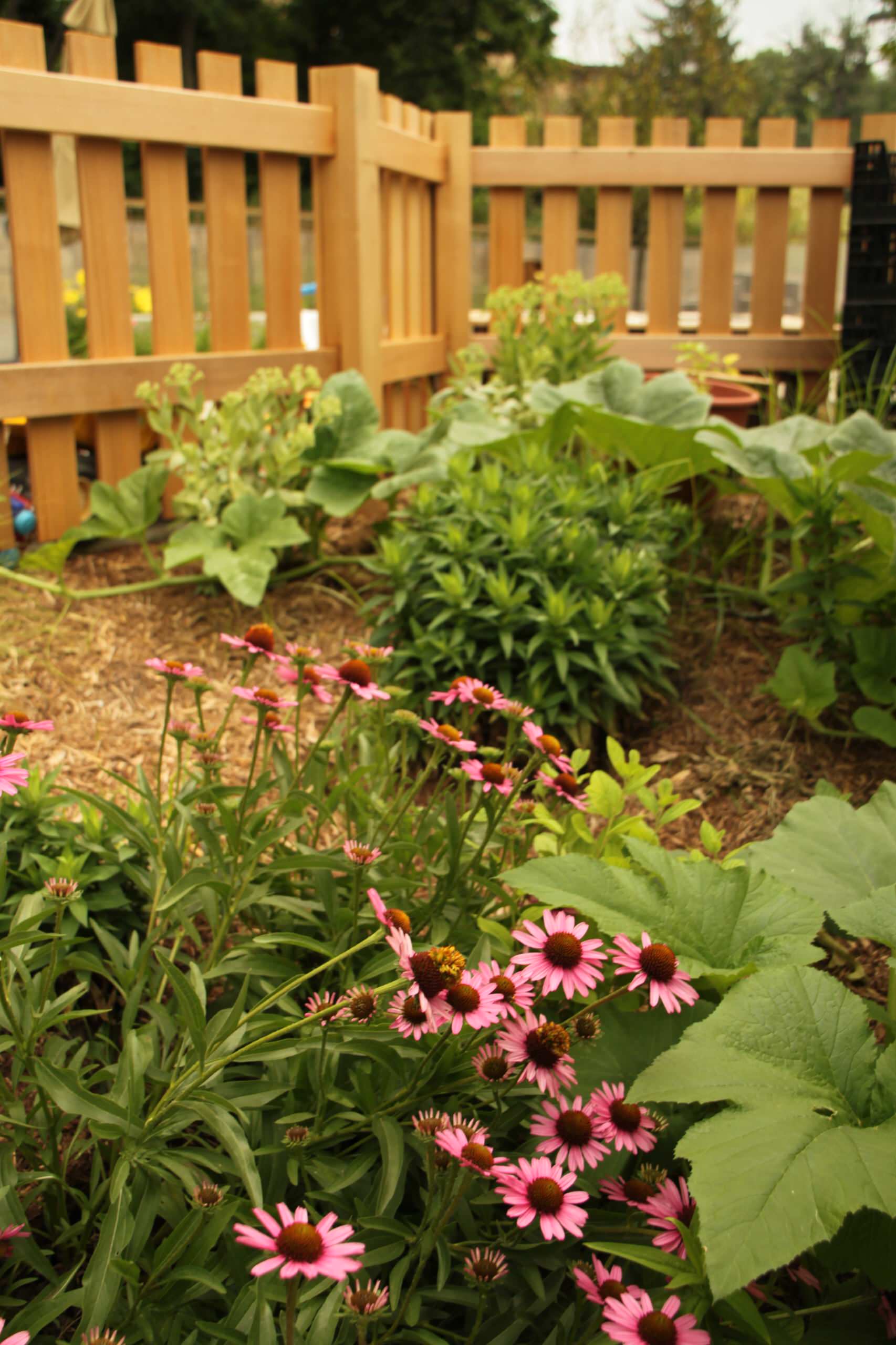 Дети в саду: Обустройство детской клумбы и выбор растений