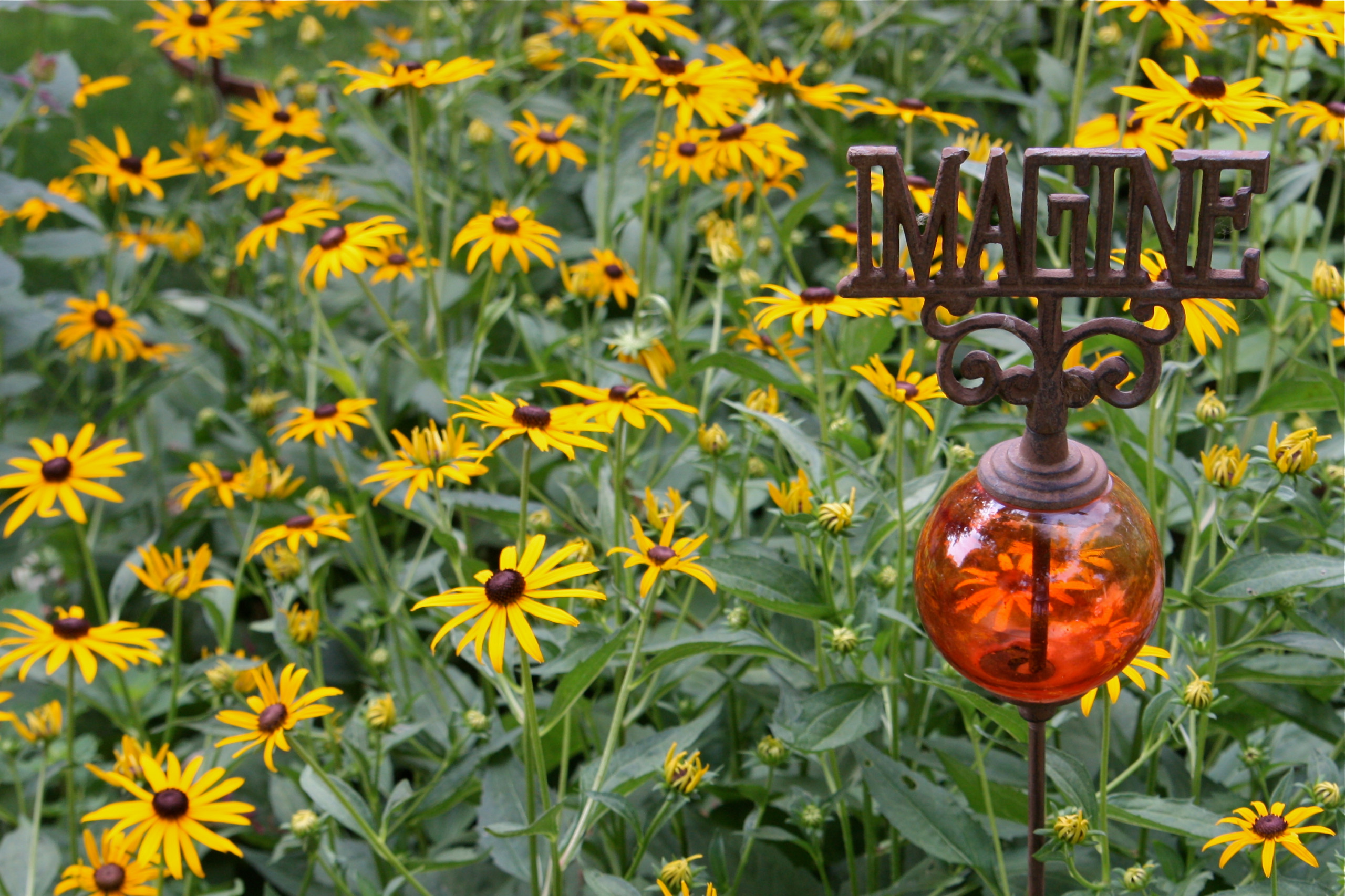 Цветы на даче: 9 стратегий дизайна клумбы