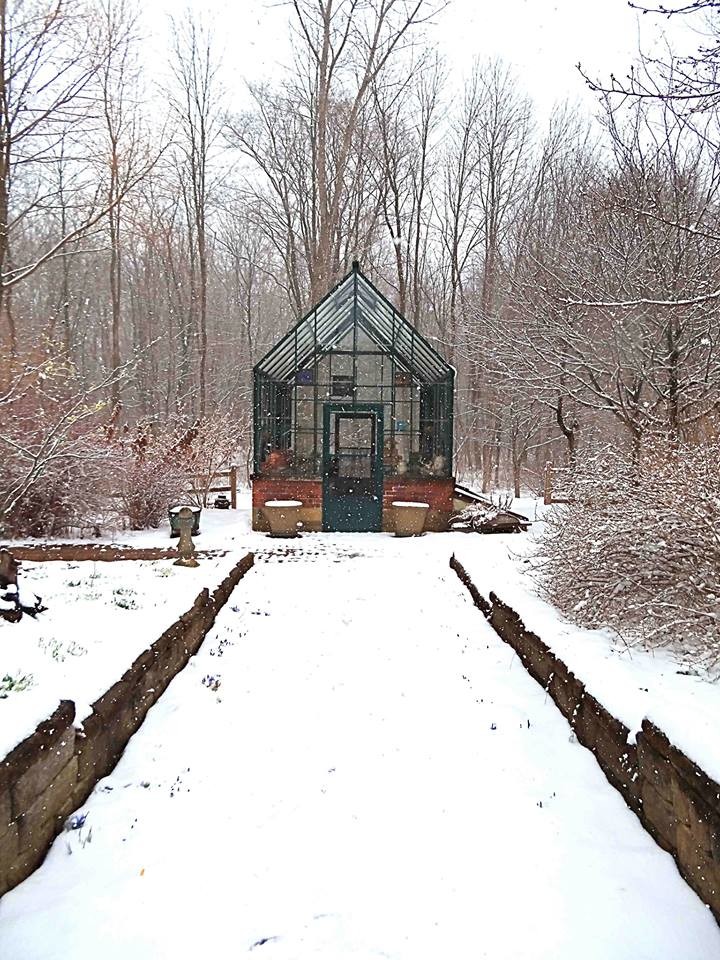 Как правильно: Использовать снег в саду