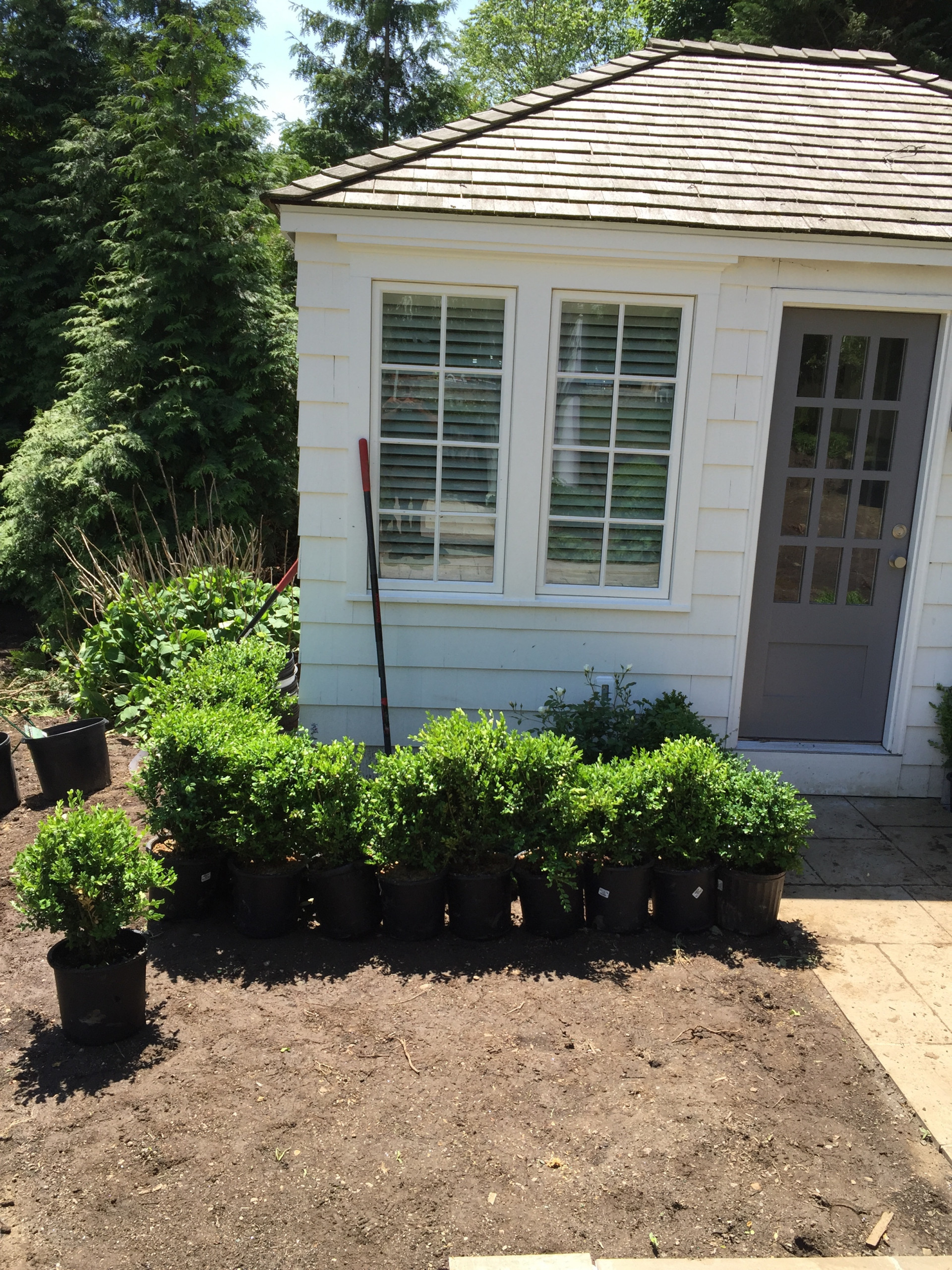 Осенний сад: Критерии выбора посадочного материала