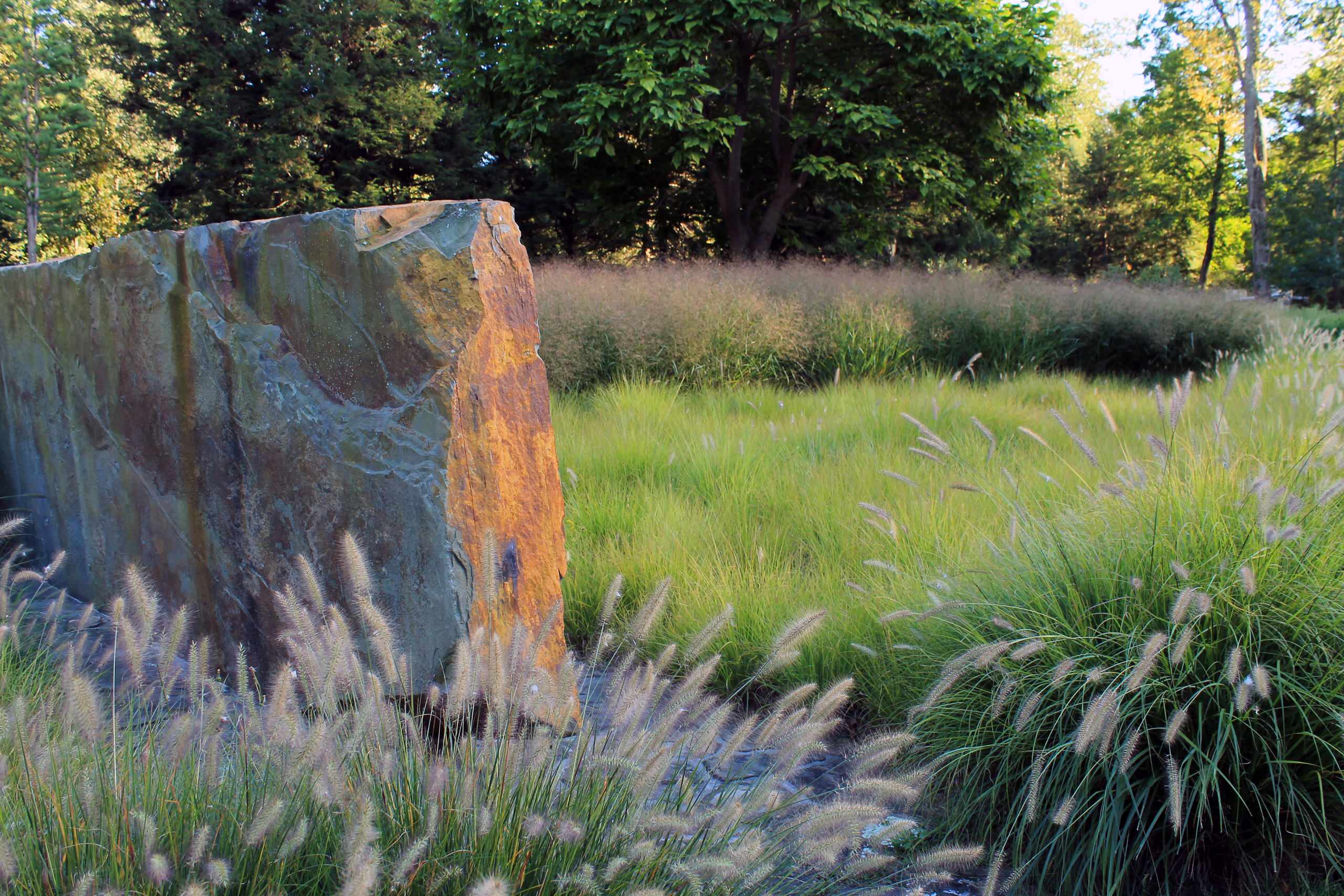 Хороший вопрос: Как выбрать лучшие злаки для вашего сада