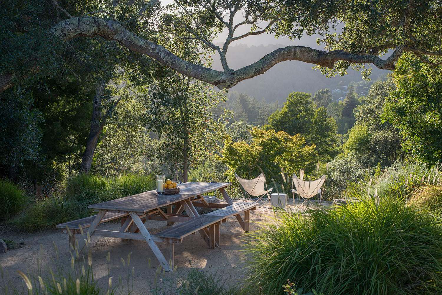 Обложка статьи: Мнение: Будущее городского озеленения