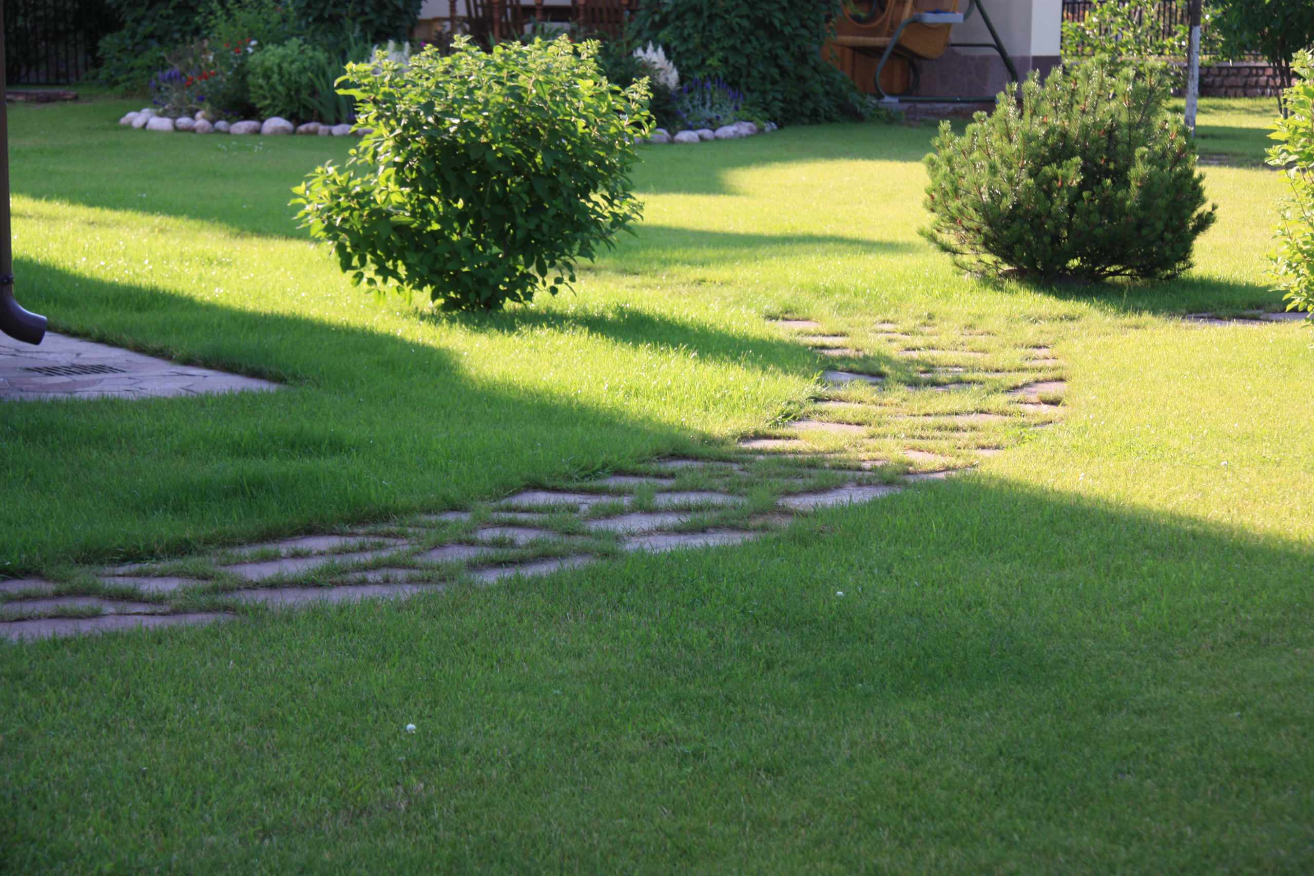 Цветущий сад: Календарь на май для дачников и садоводов