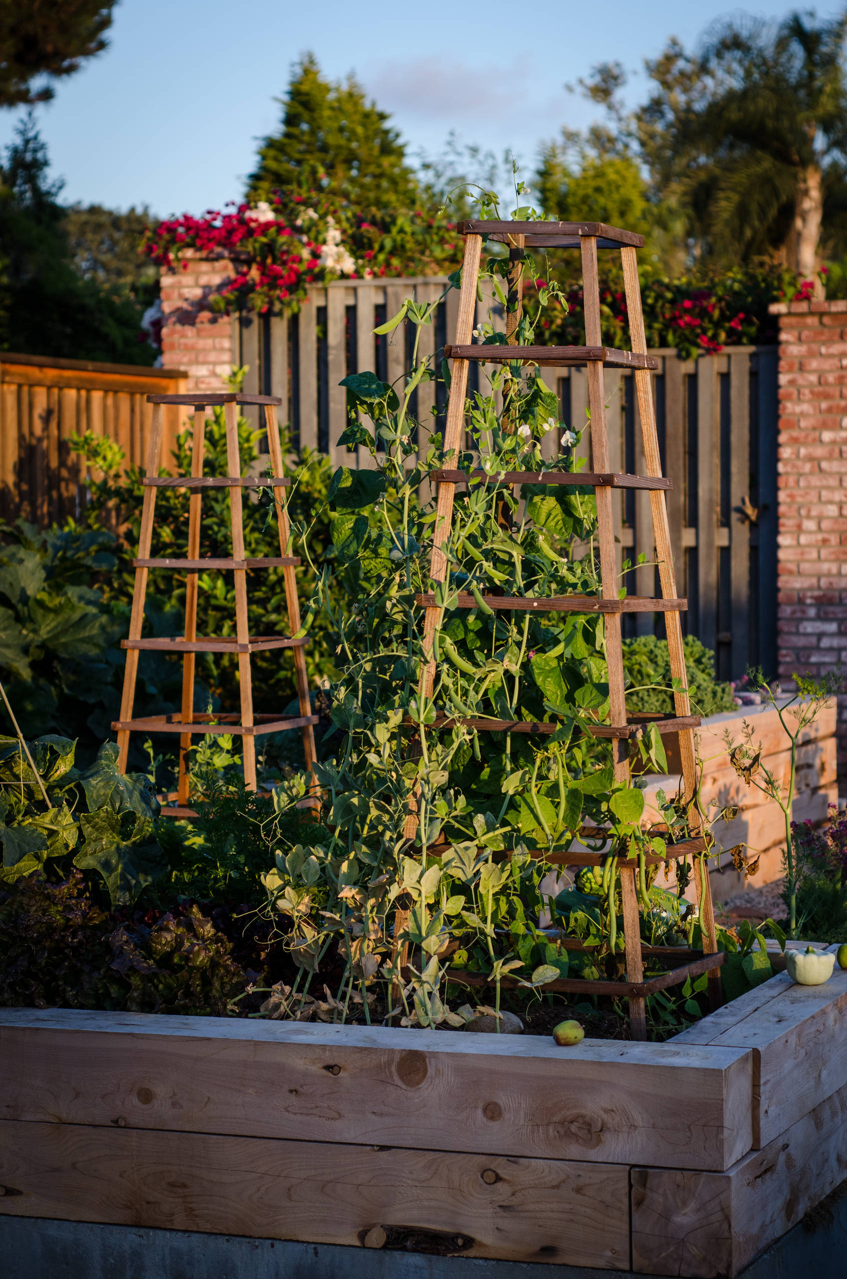 Как правильно: Сделать огородные опоры украшением участка