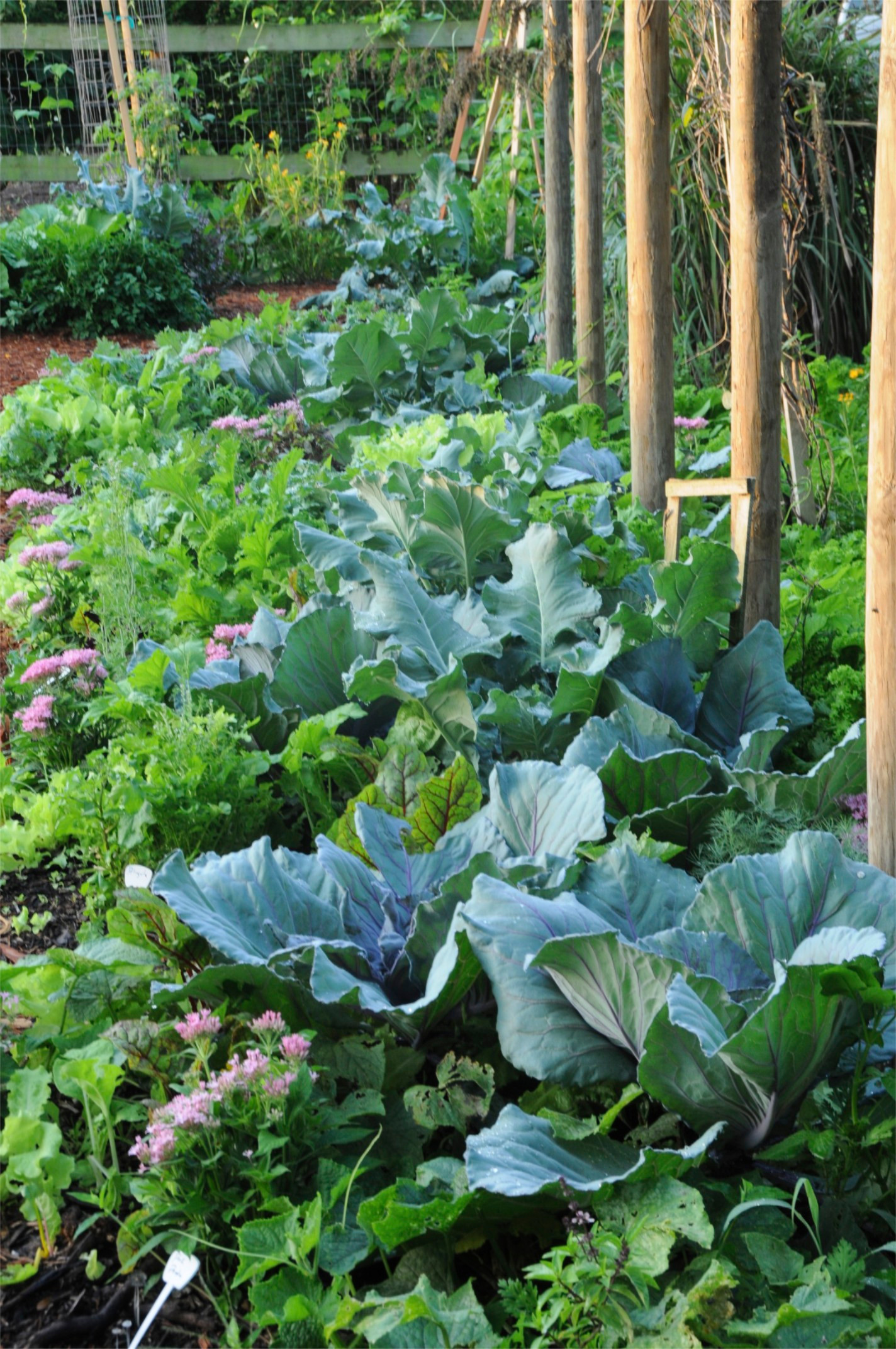 Что делать: Весенняя обработка сада от вредителей