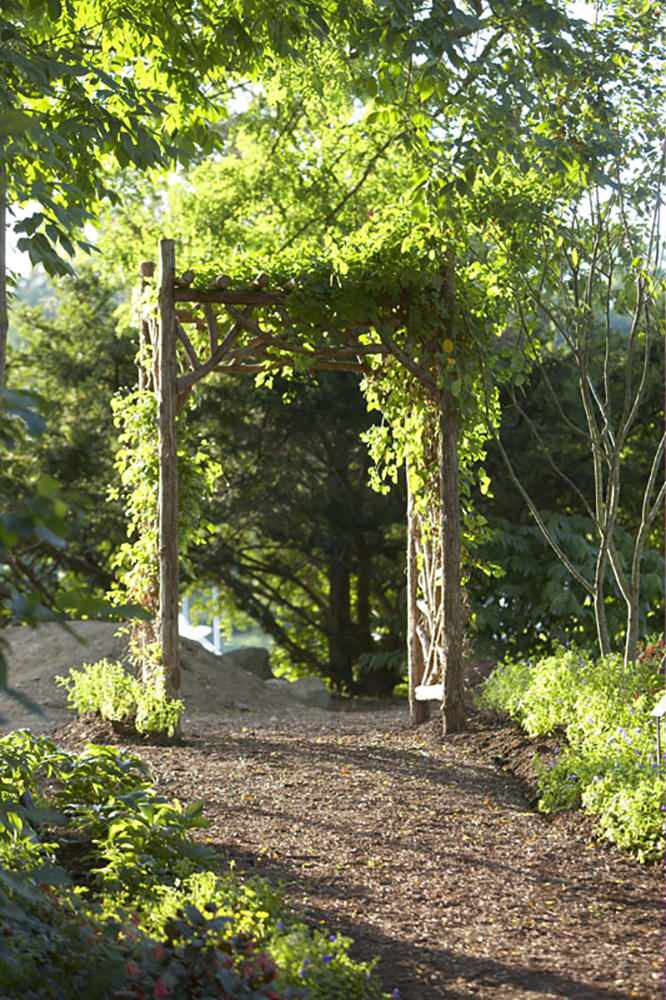 Через пень-колоду: Старые коряги в новых ролях