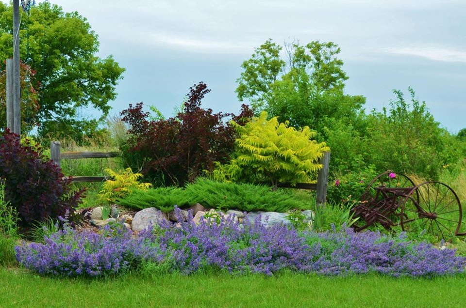 Осенний сад: Критерии выбора посадочного материала