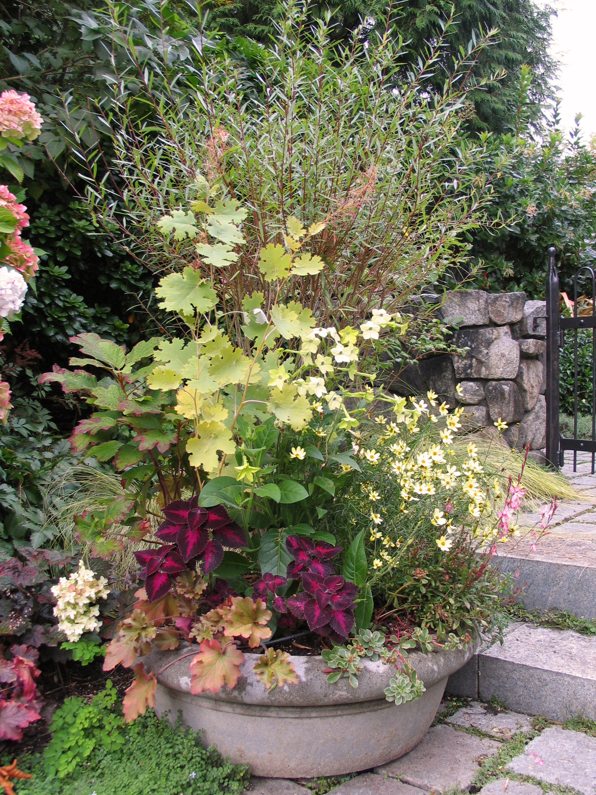 Фотоохота: 45 идей осенних кашпо